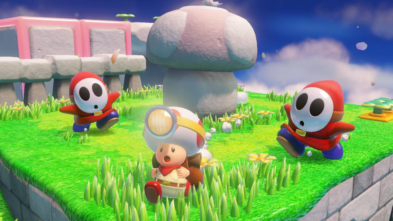 Toad i dwaj Shy Guys na zielonej trawie z kwiatami, grzybami i kamiennymi strukturami.