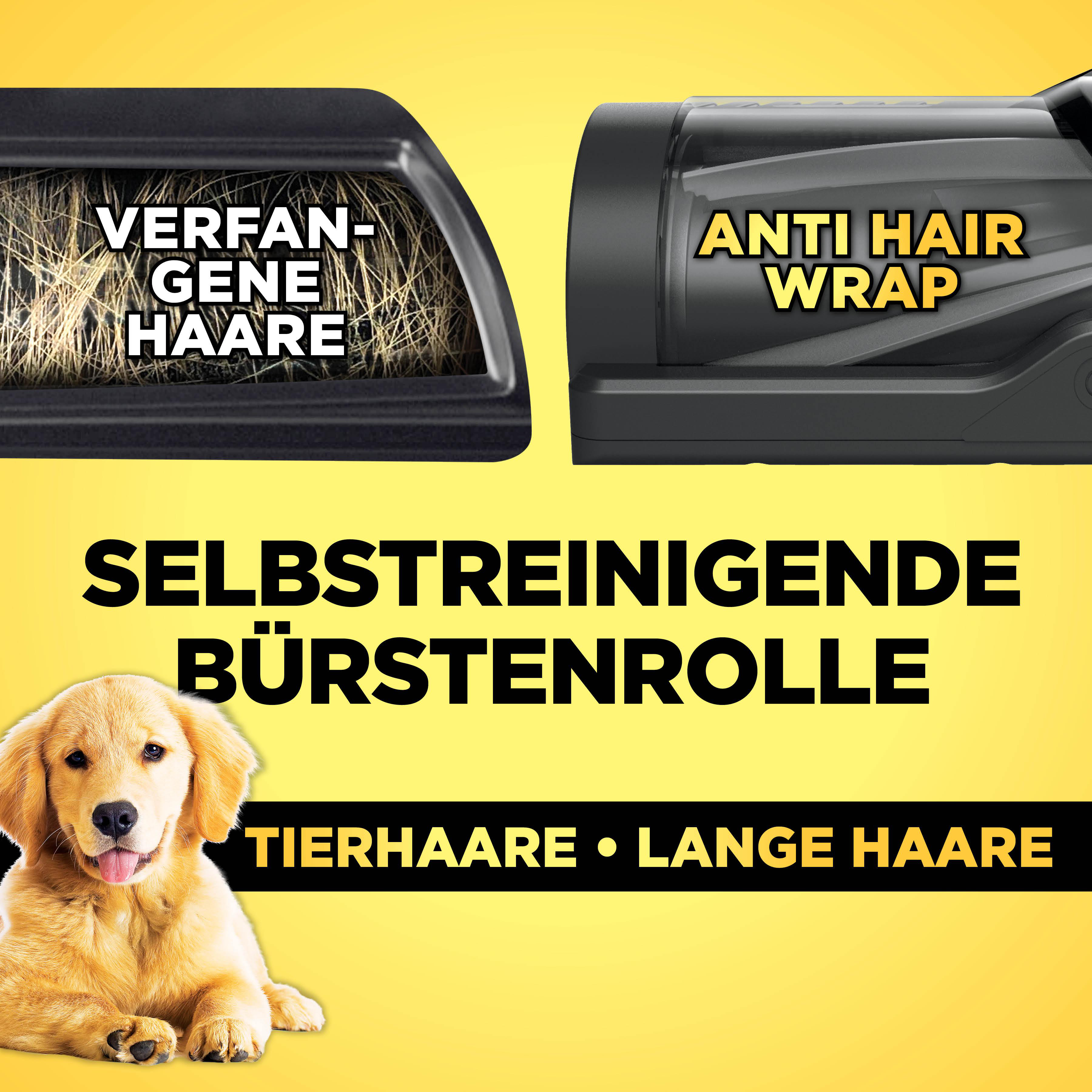 Ein Golden Retriever Welpe liegt vor einem Hintergrund mit "VERFANGENE HAARE" und "ANTI HAIR WRAP" Text.