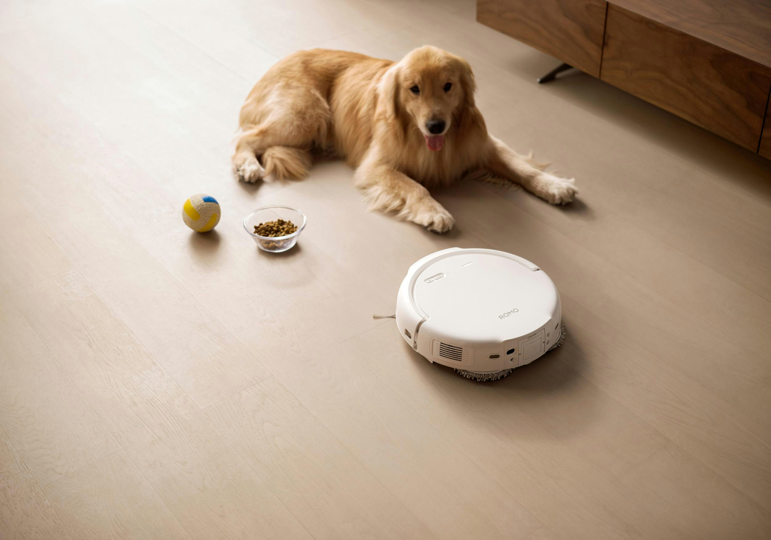Ein goldener Retriever liegt auf einem Holzboden neben einem Ball, Futternapf und einem Saugroboter.