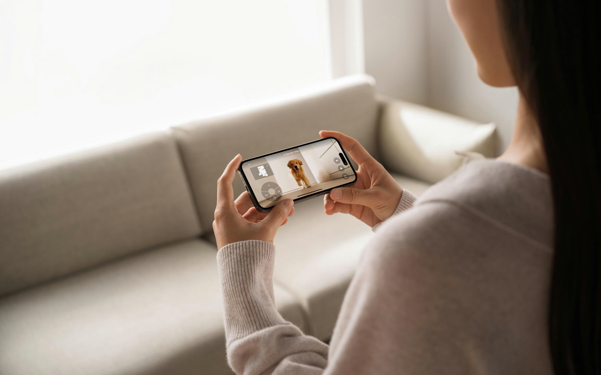 Eine Person hält ein Smartphone, das einen Hund in einem Raum zeigt.