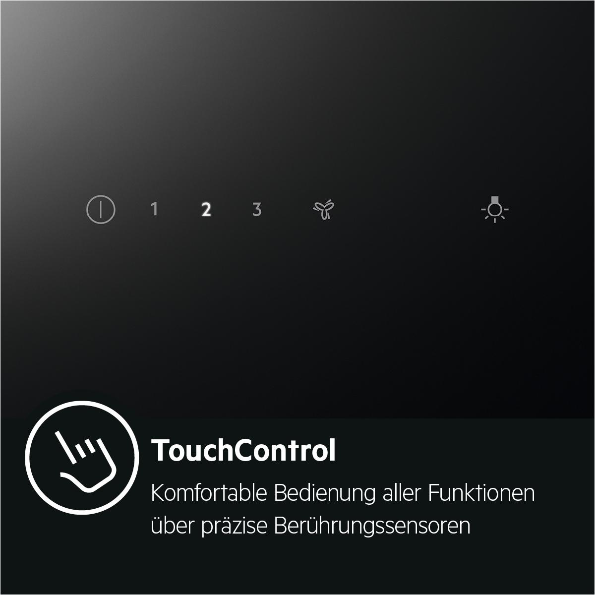 Bedienfeld mit TouchControl und Symbolen für Lüfter und Licht.