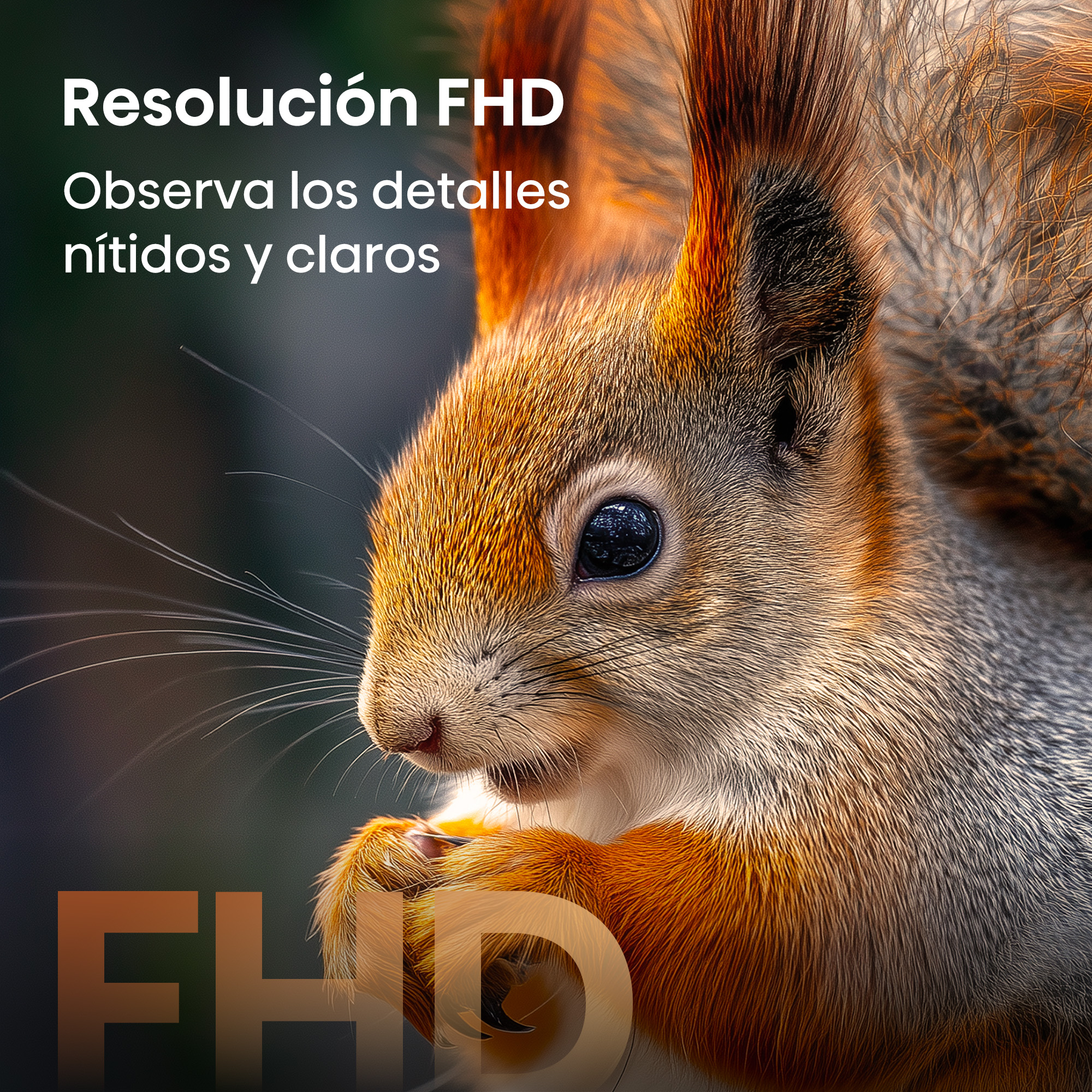 Primer plano de una ardilla con pelaje naranja y ojos oscuros.
