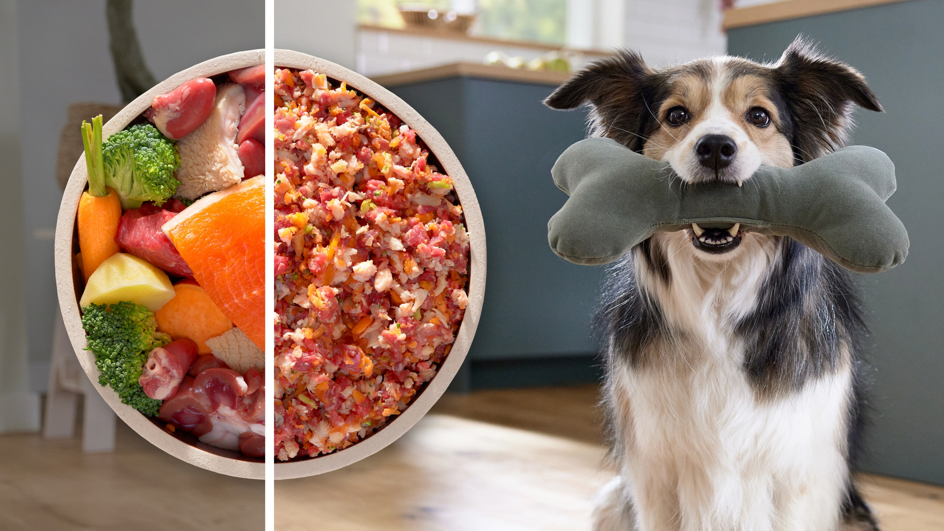 Ein Hund hält ein Knochenspielzeug im Maul, daneben Schalen mit rohem Futter.