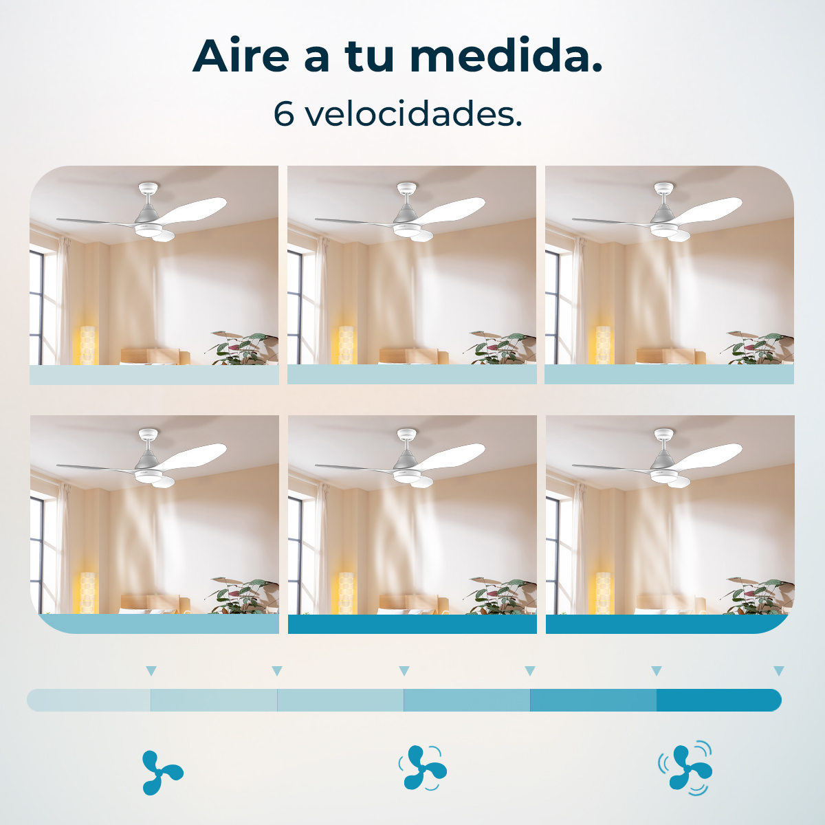 Seis ventiladores de techo en una habitación con mesitas y plantas.