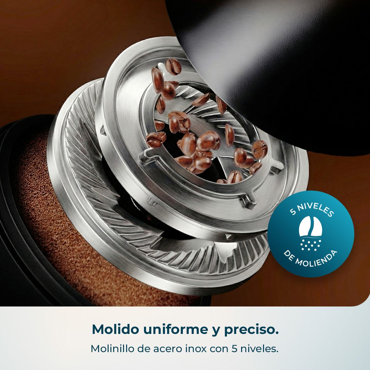 Molinillo de café con granos y molido, 5 niveles.