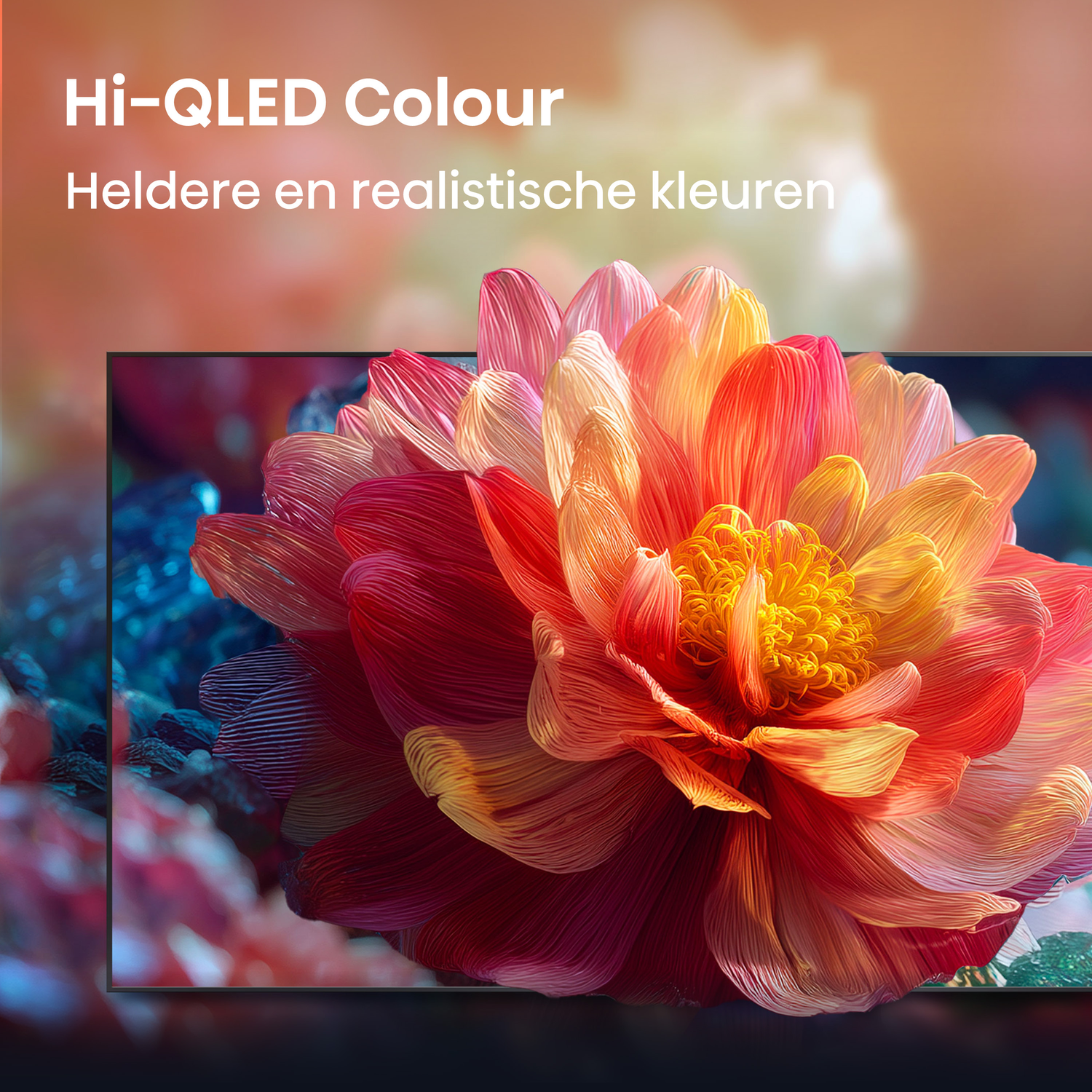 Een tv-scherm toont een vlekkeloze, levendige bloem in rode en gele tinten.