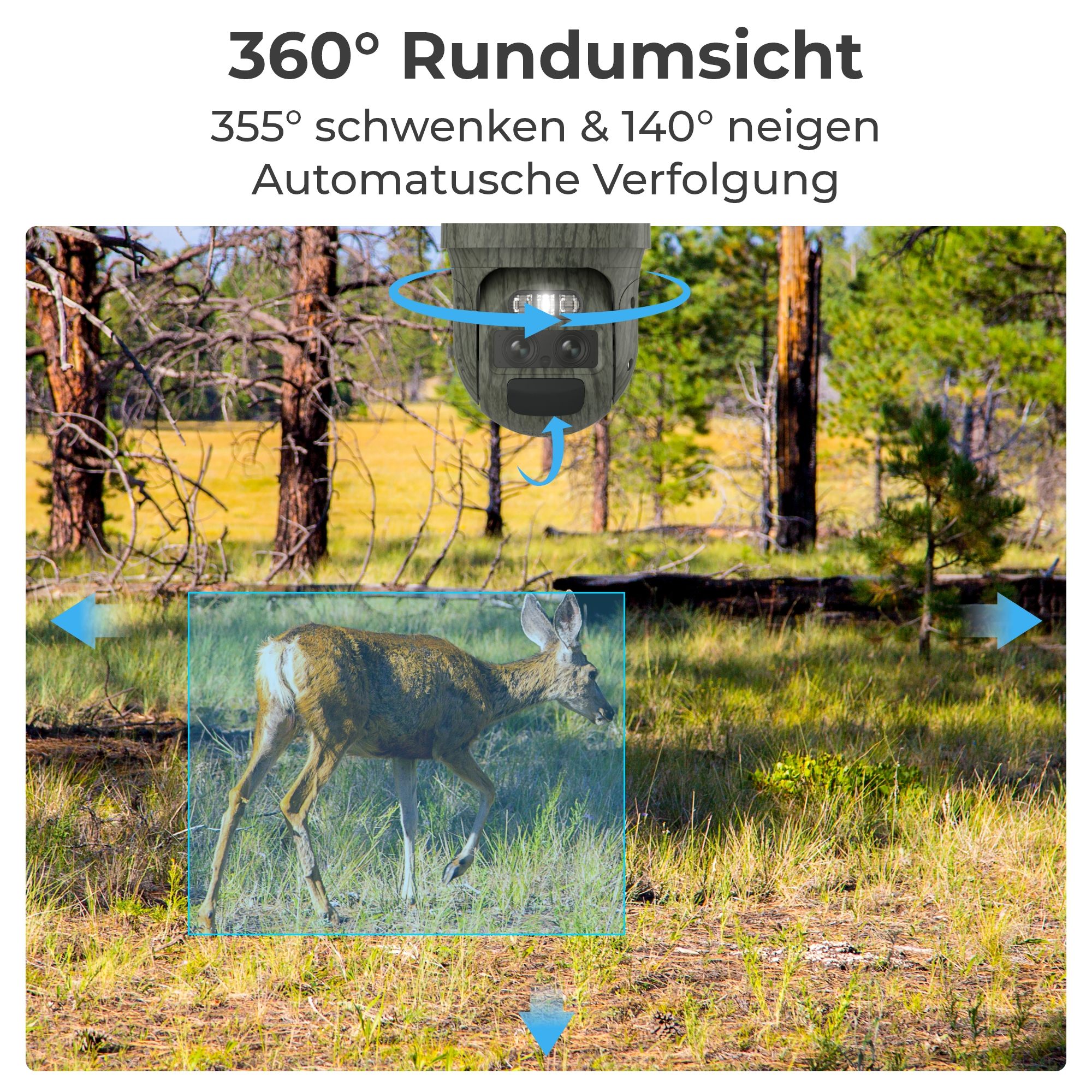 Überwachungskamera erfasst Reh in Waldlandschaft mit blauen Pfeilen.