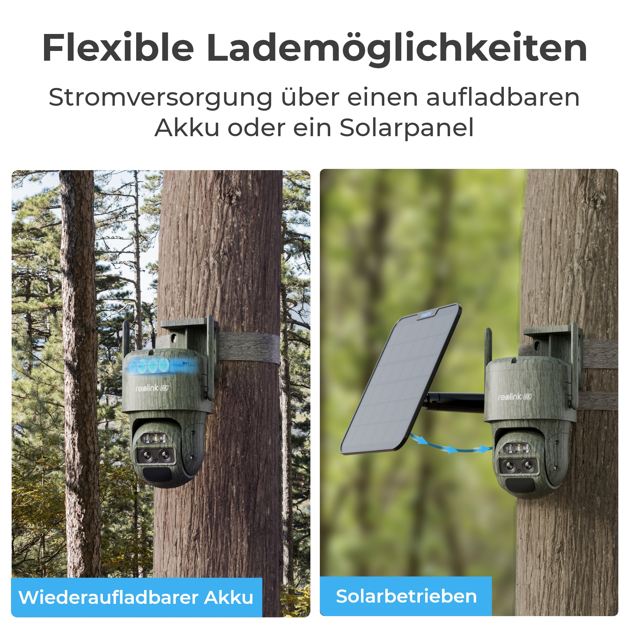 Überwachungskamera mit Akku oder Solarpanel an Baum montiert.