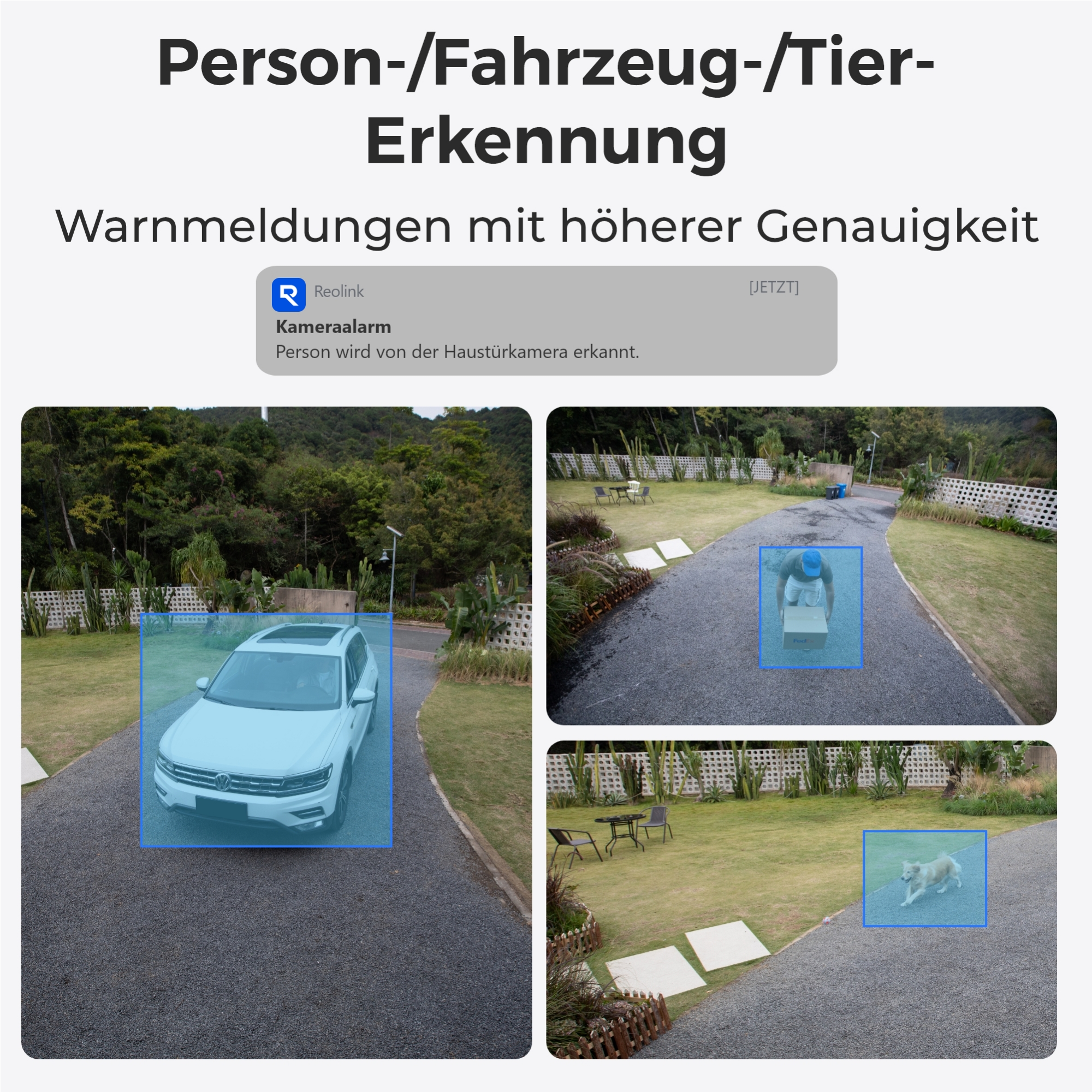 Eine weiße Limousine auf einer Schotterstraße, ein Mann trägt eine Kiste, ein Hund läuft.
