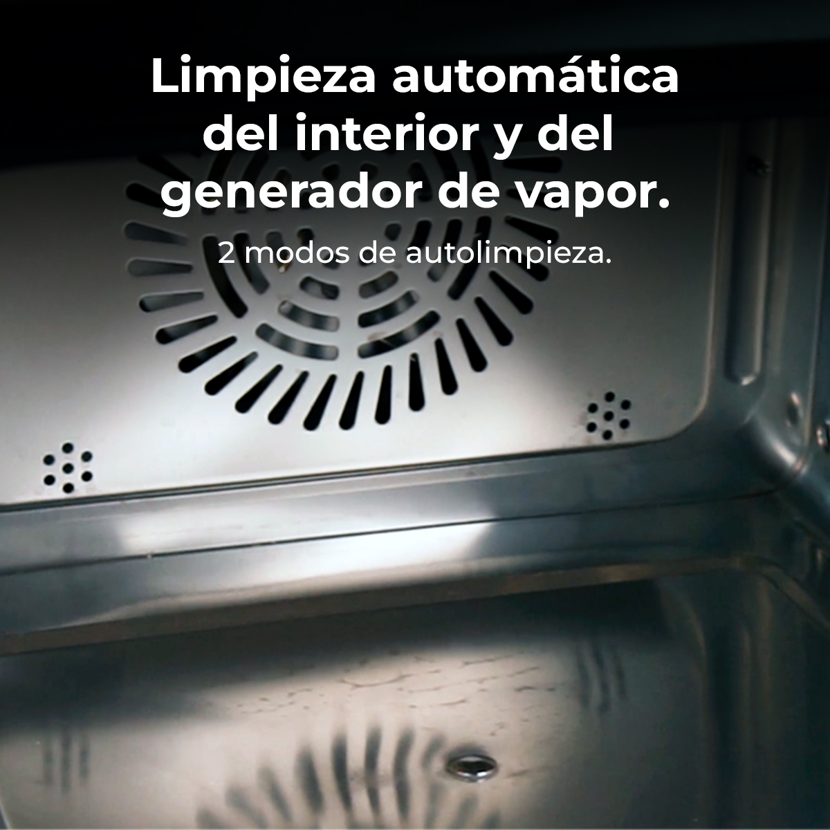 Limpieza automática interior y generador de vapor.