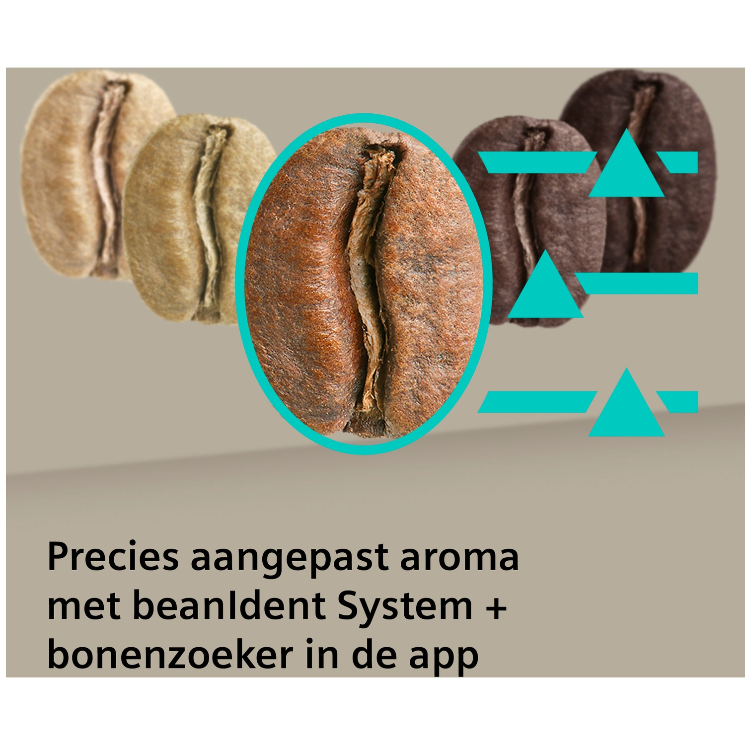 Close-up van koffiebonen, licht tot donker geroosterd, met blauwe grafische elementen.