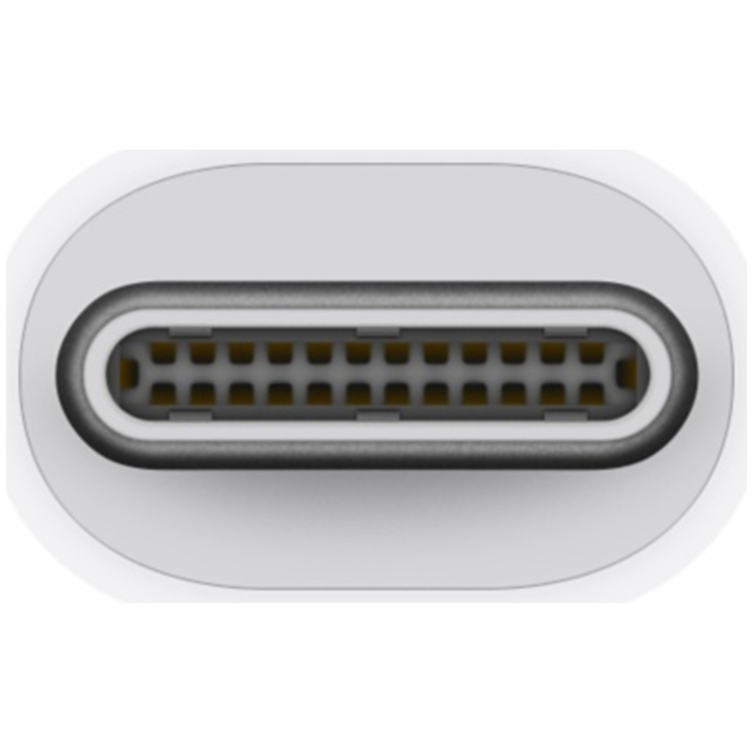 Close-up van een witte USB-C poort met zichtbare pinnen.