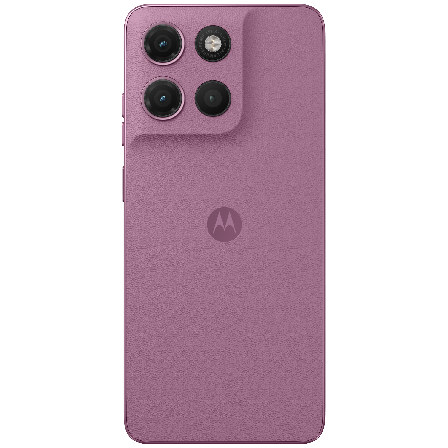 Rear view of a purple smartphone with four cameras and Motorola logo.