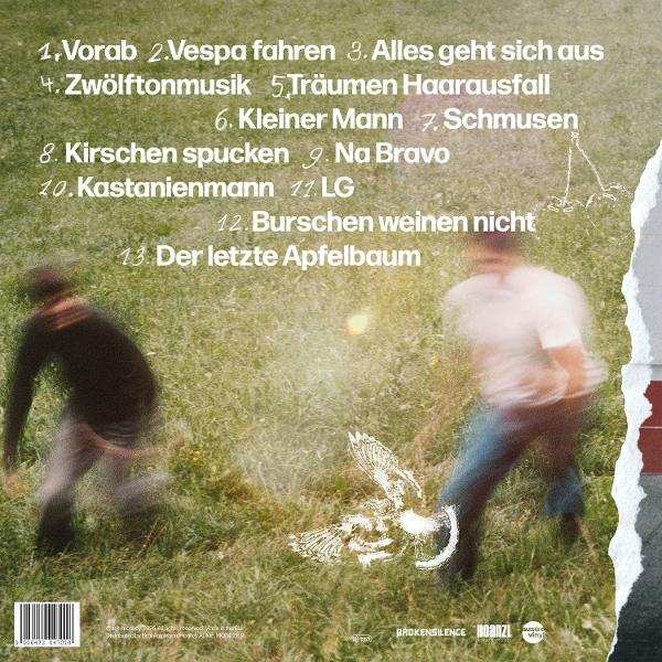 Rückseite eines Albums mit Songliste und unscharfen Personen im Gras.