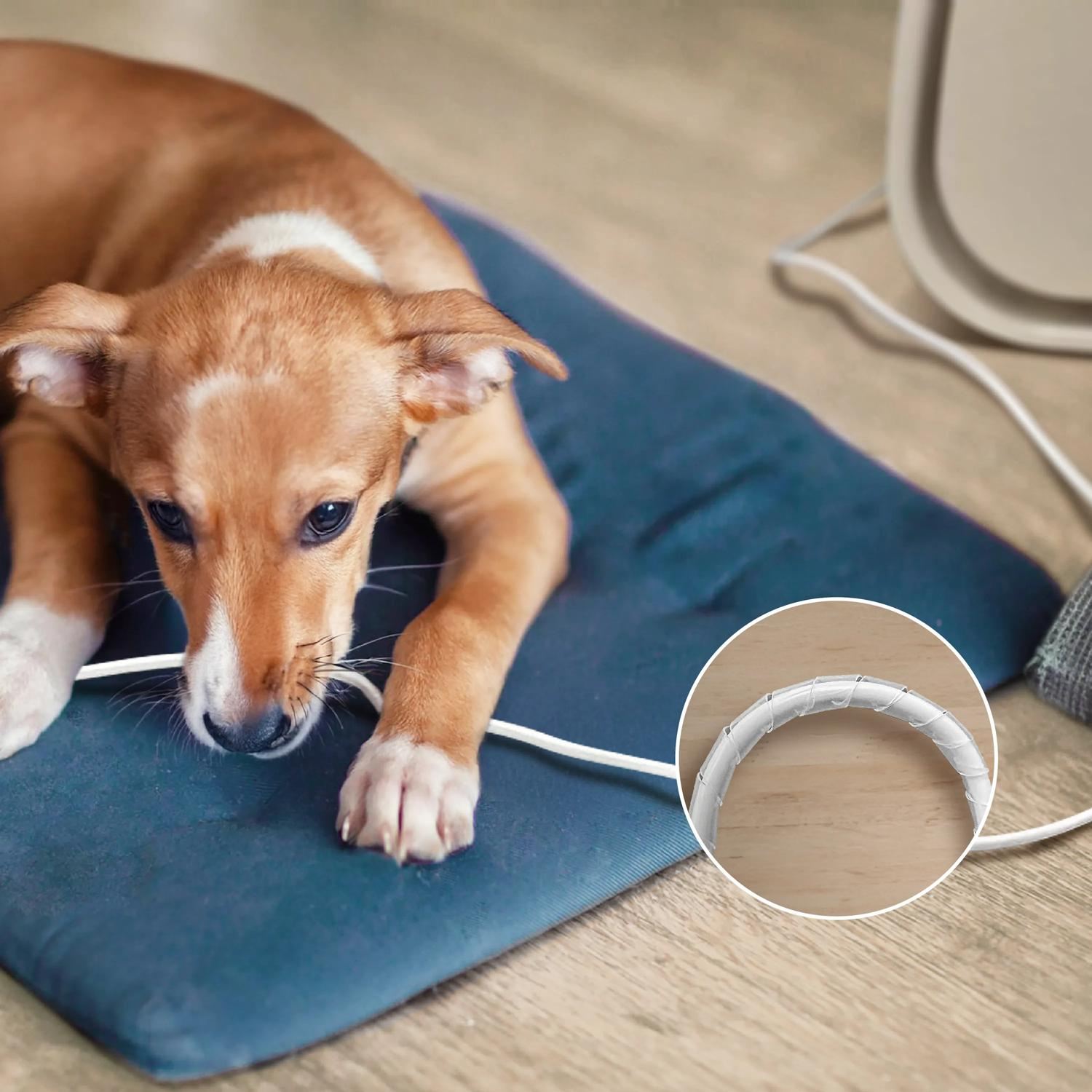 Un chiot brun repose sur un tapis bleu près d'un câble blanc.