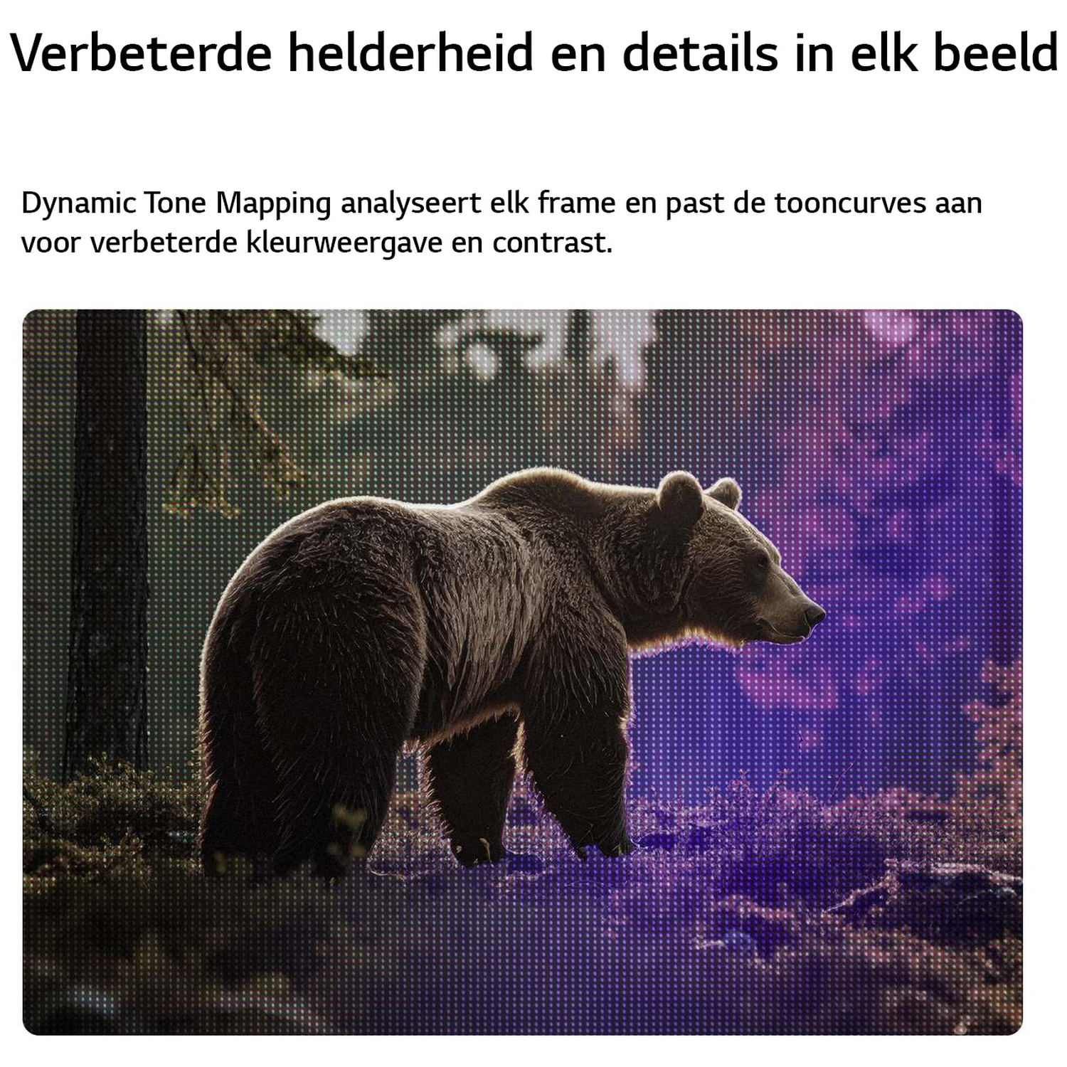 A brown bear stands in a forest with a purple background.