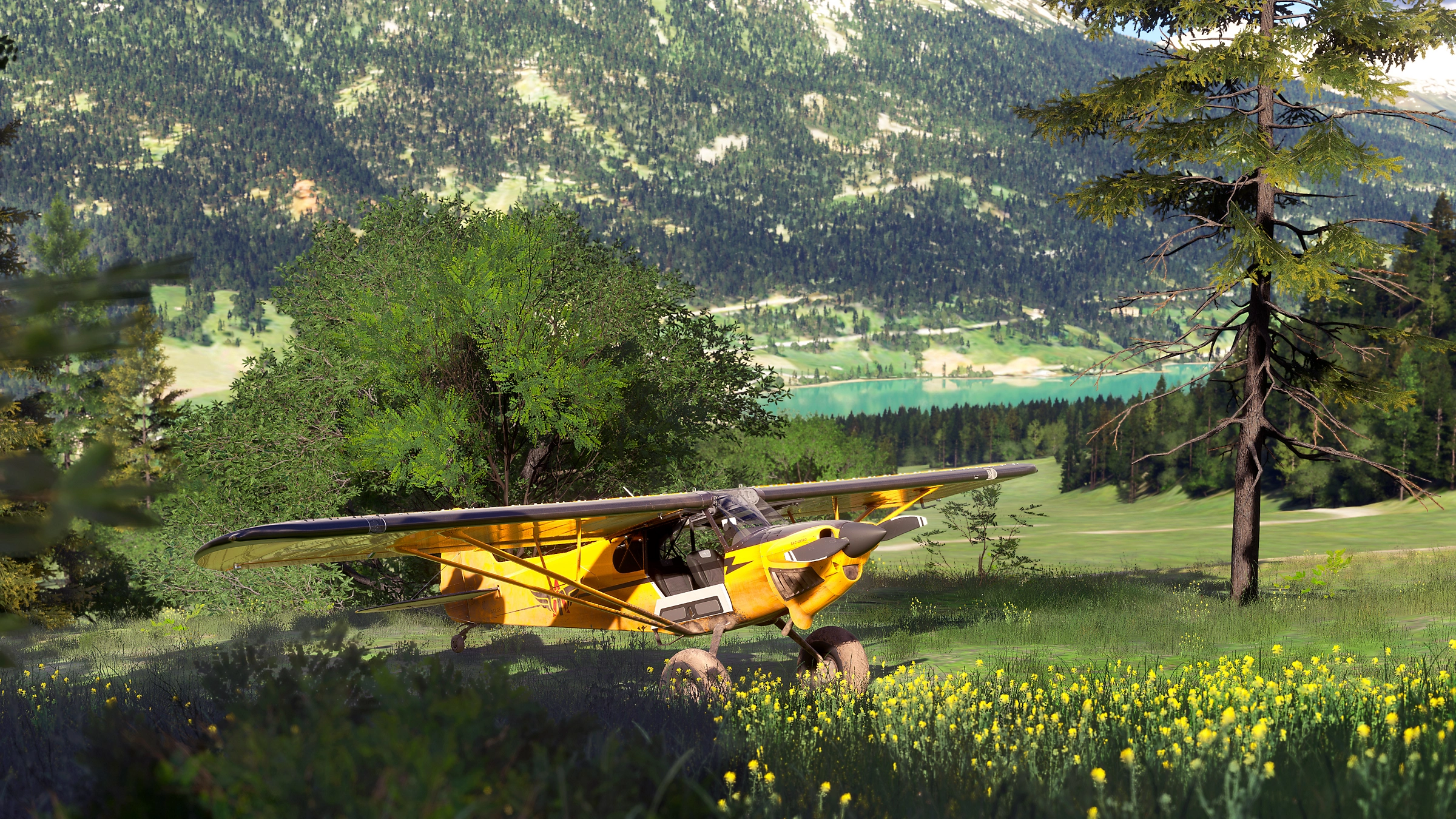 Avion jaune stationné dans un champ fleuri, lac et montagnes derrière.