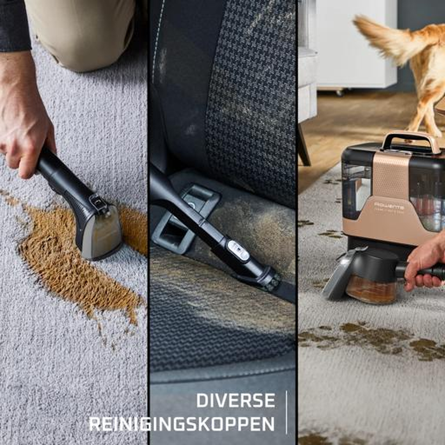 Device cleaning carpet, car seat, and rug with a dog in the background.