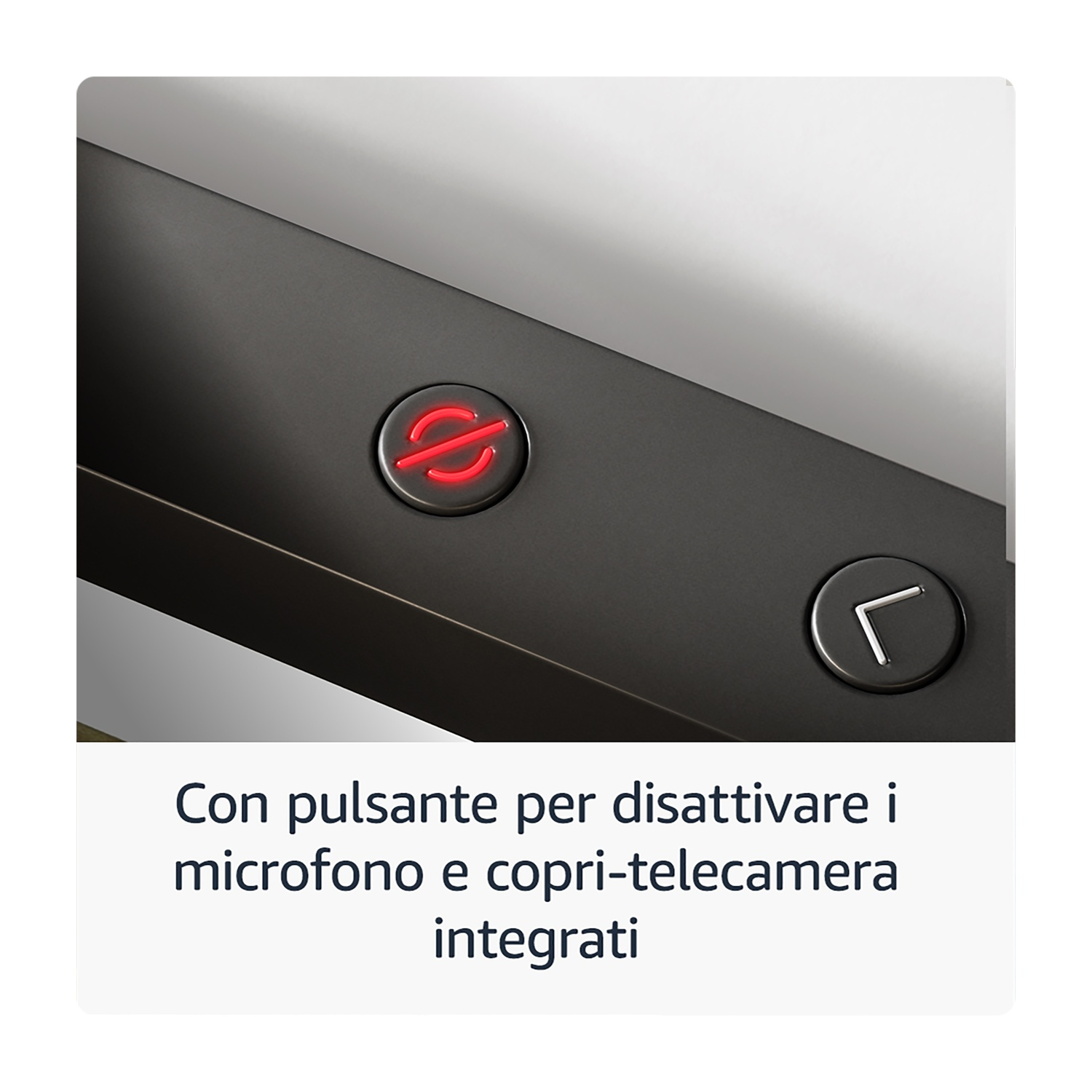 Un pulsante rosso con microfono barrato e pulsante freccia.