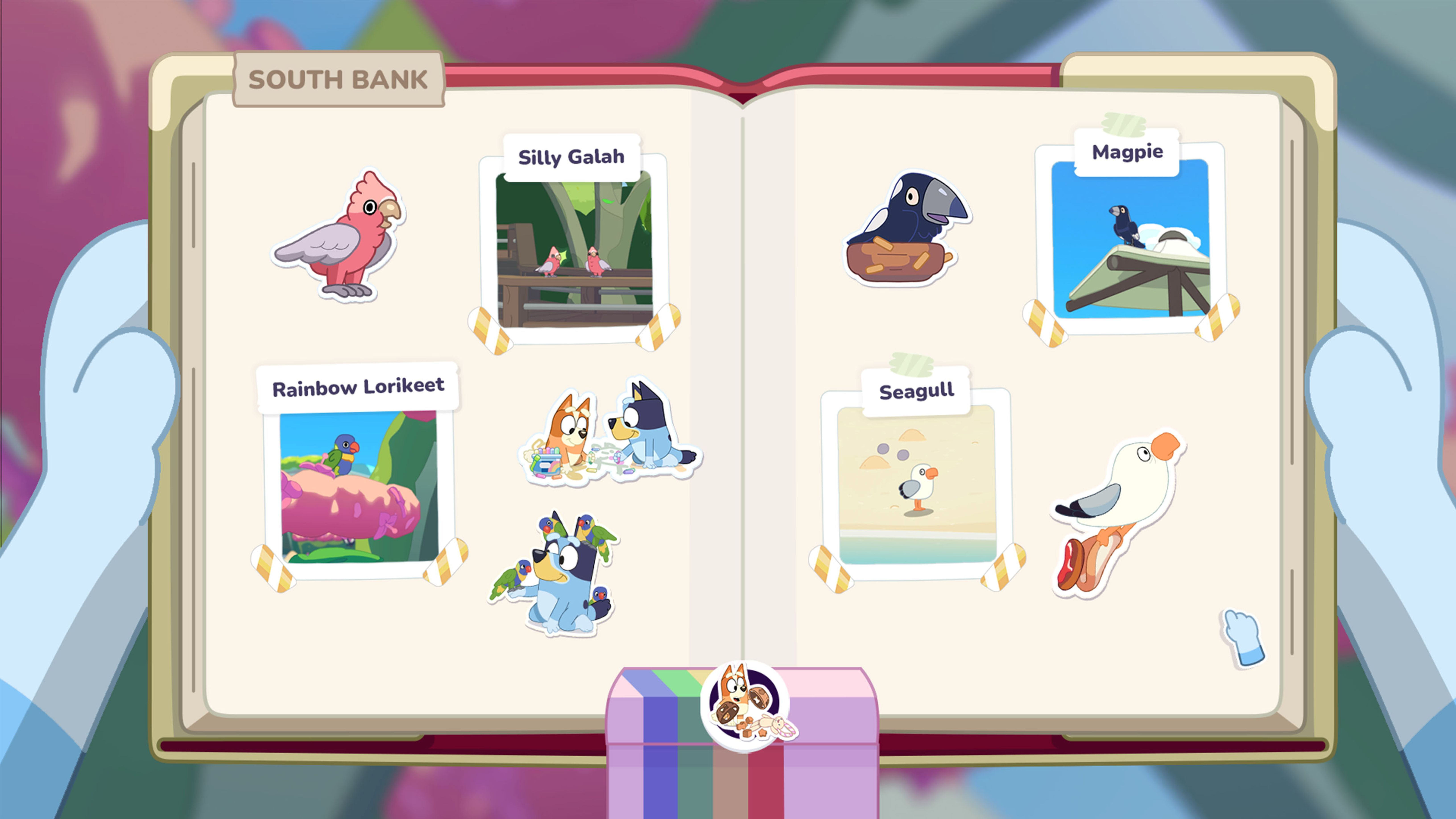 Büchlein mit Vogelaufklebern: Galah, Lorikeet, Elster, Möwe und Bluey-Figuren.