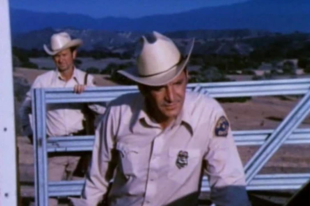 Zwei Männer in Cowboyhüten und Hemden stehen hinter einem Tor auf dem Land.