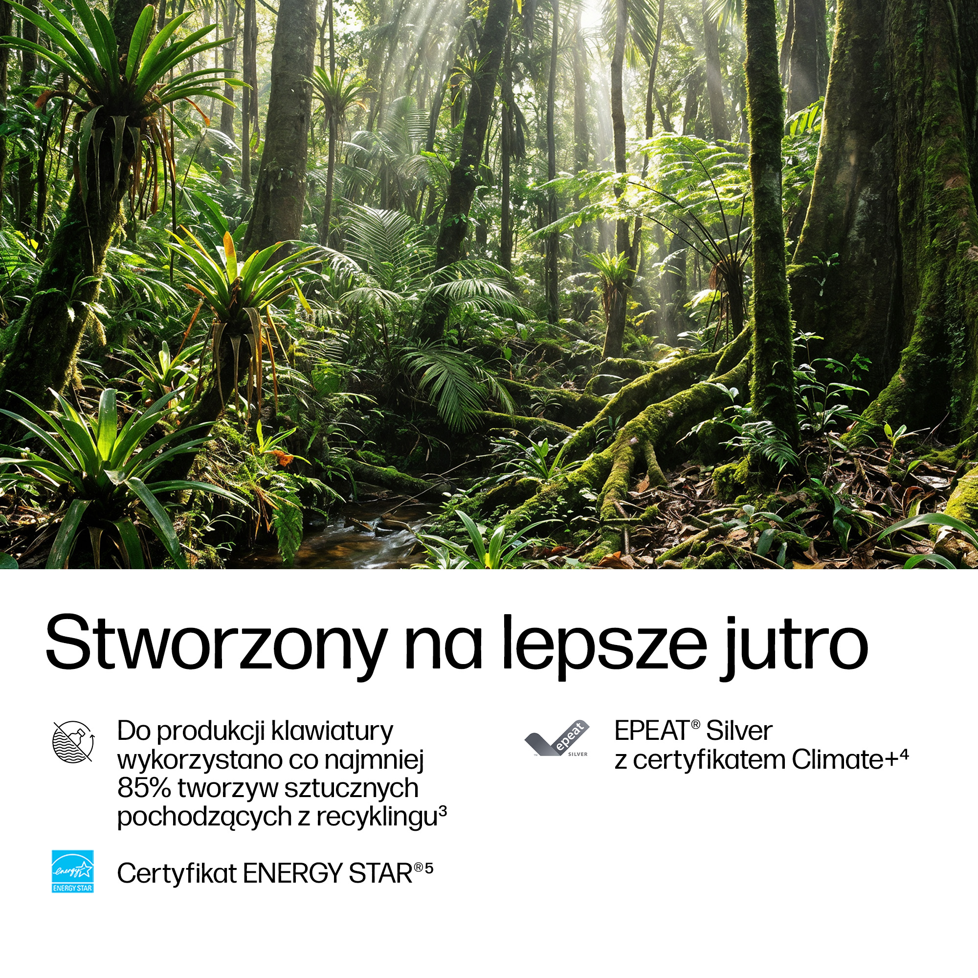 Bujna, nasłoneczniona dżungla z drzewami porośniętymi mchem i paprociami.