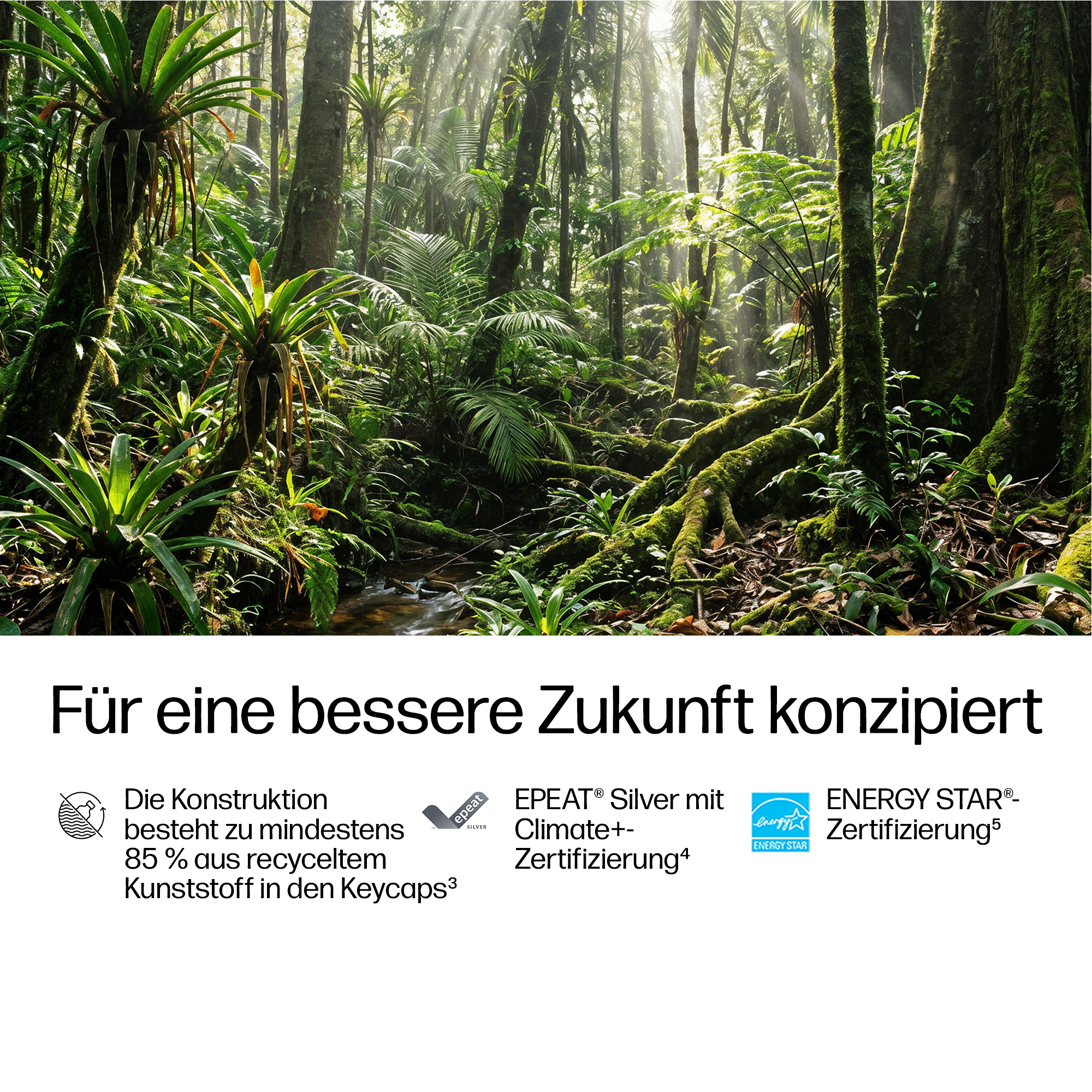 Sonnige Dschungelszene mit üppiger Vegetation, Wasserfall und Zertifizierungslogos.