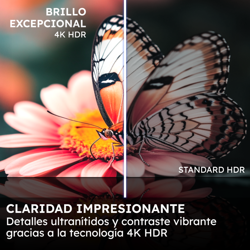 Mariposa en flor; izquierda: 4K HDR brillo excepcional. Derecha: HDR estándar. Claridad impresionante.