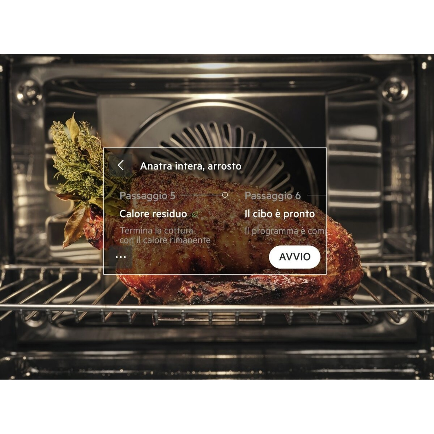 Anatra intera, arrosto, su una griglia del forno con stato di cottura.
