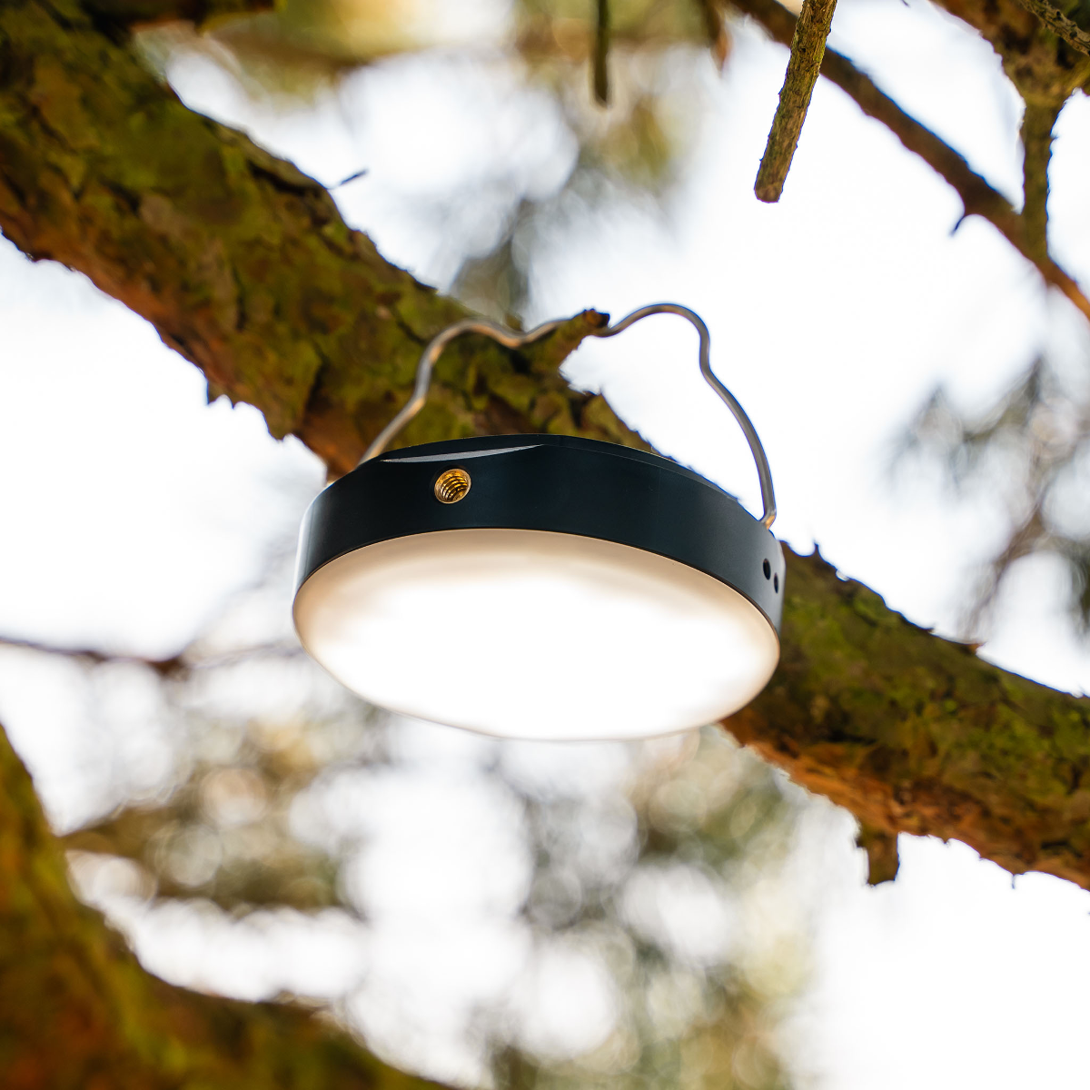Eine schwarze Campinglaterne mit hellem Weißlicht hängt an einem Ast.