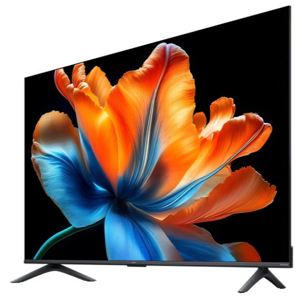 Nowoczesny telewizor wyświetla zbliżenie żywego pomarańczowo-niebieskiego kwiatu.