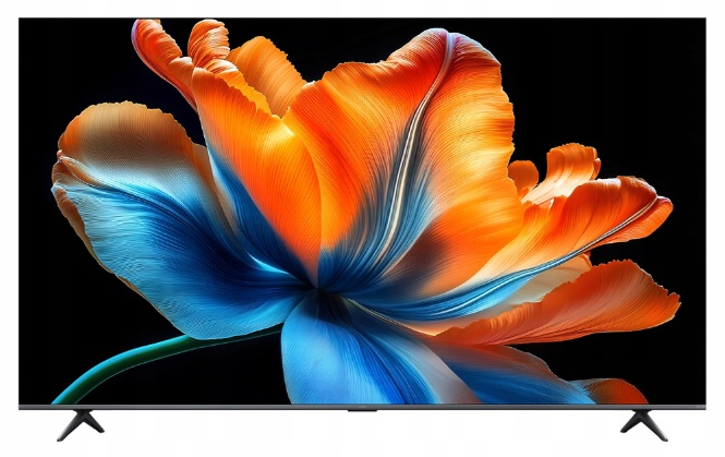 Ekran telewizora wyświetla zbliżenie pomarańczowo-niebieskiego kwiatu na czarnym tle.