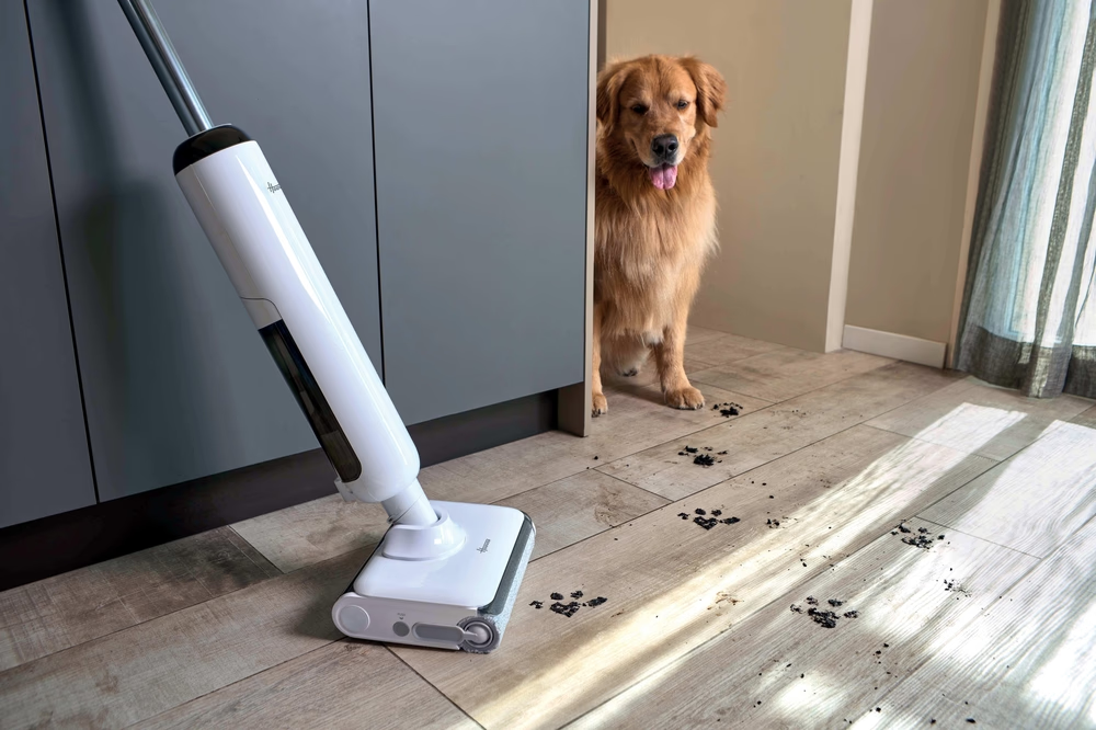 Ein Hund hinterlässt Schlammspuren auf einem Holzboden neben einem weißen Staubsauger.