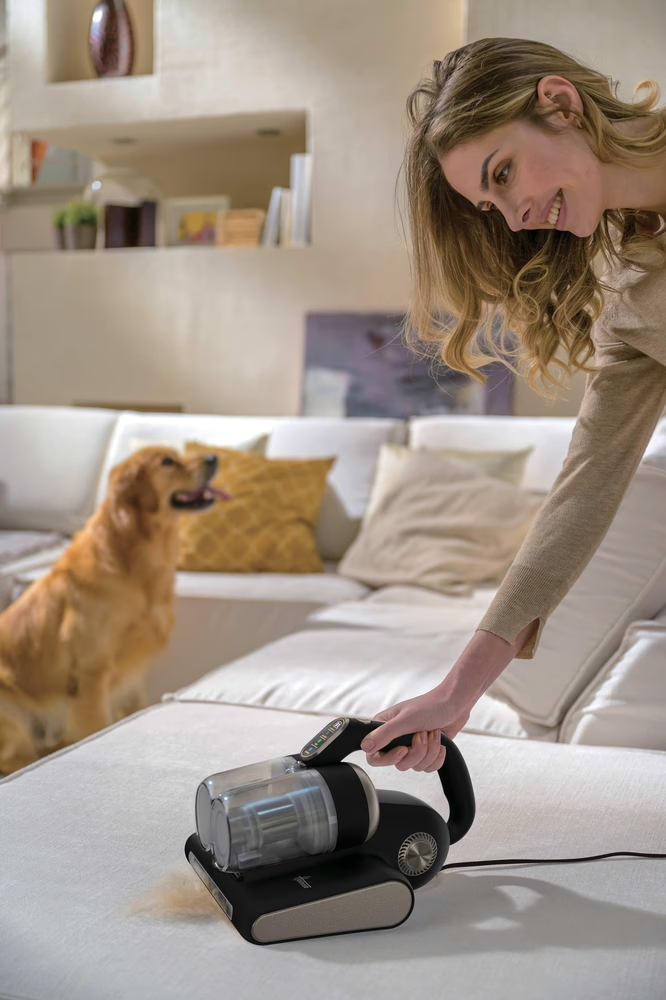 Eine Frau benutzt einen Staubsauger auf einem Sofa, ein Hund sitzt daneben.