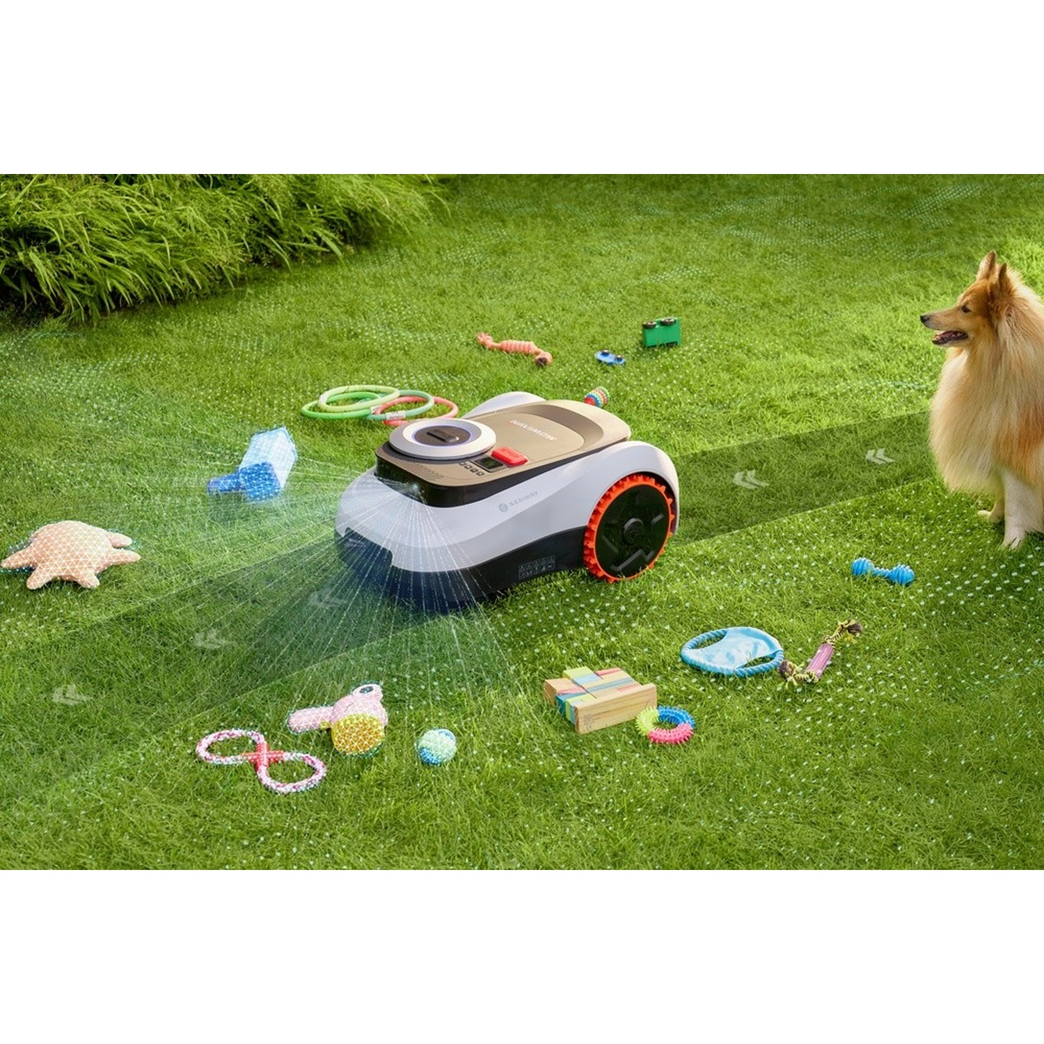 Un robot tagliaerba su un prato con cane e giocattoli.