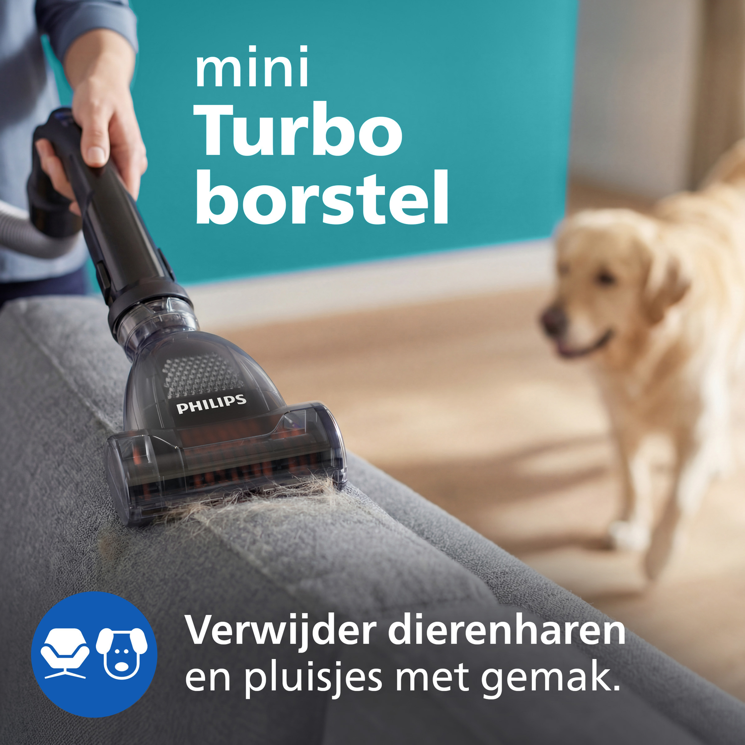 Een Philips Mini Turbo borstel verwijdert dierenharen van een bank. Hond op achtergrond.
