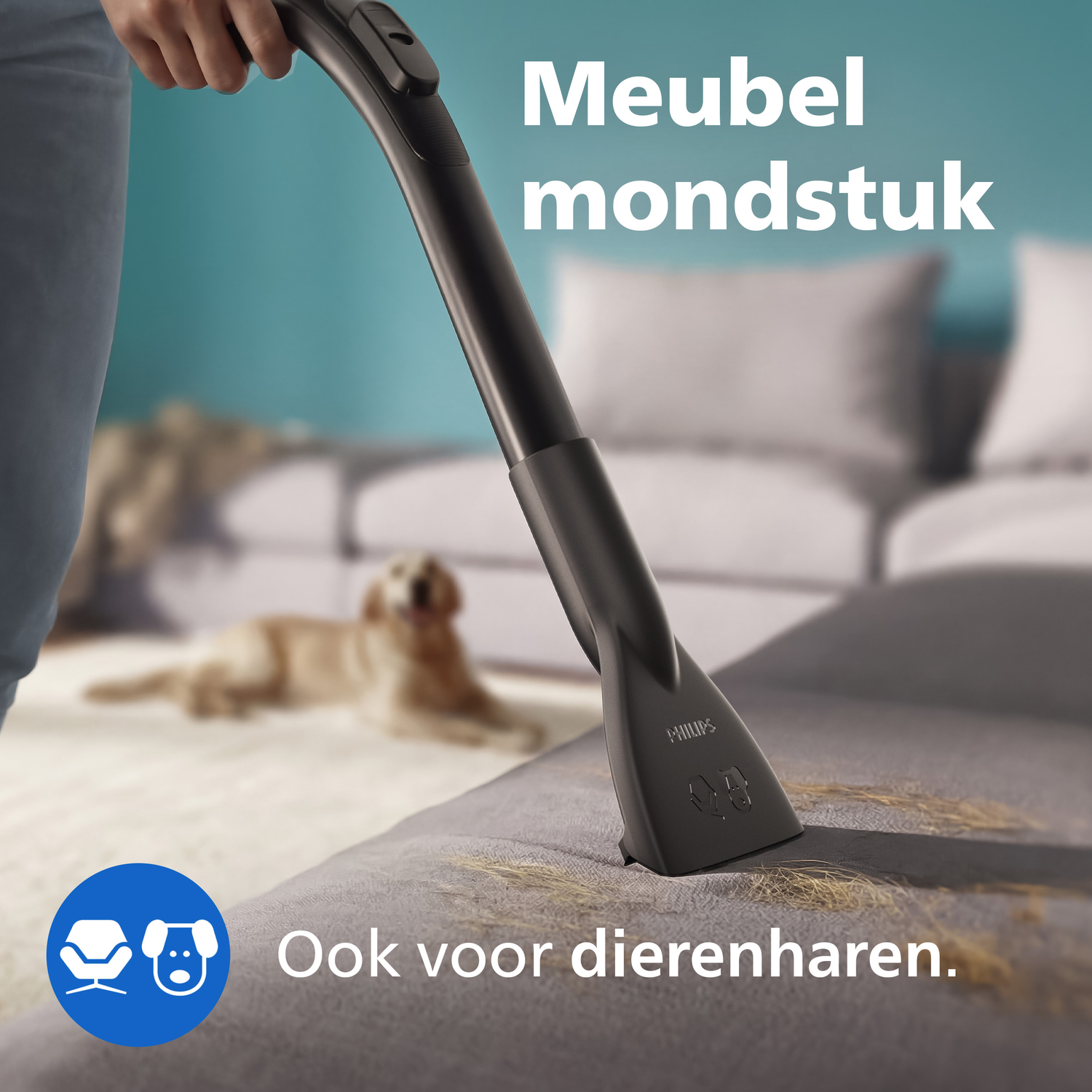 Een meubelzuigmond verwijdert dierenharen van een bank, een hond ligt op de achtergrond.