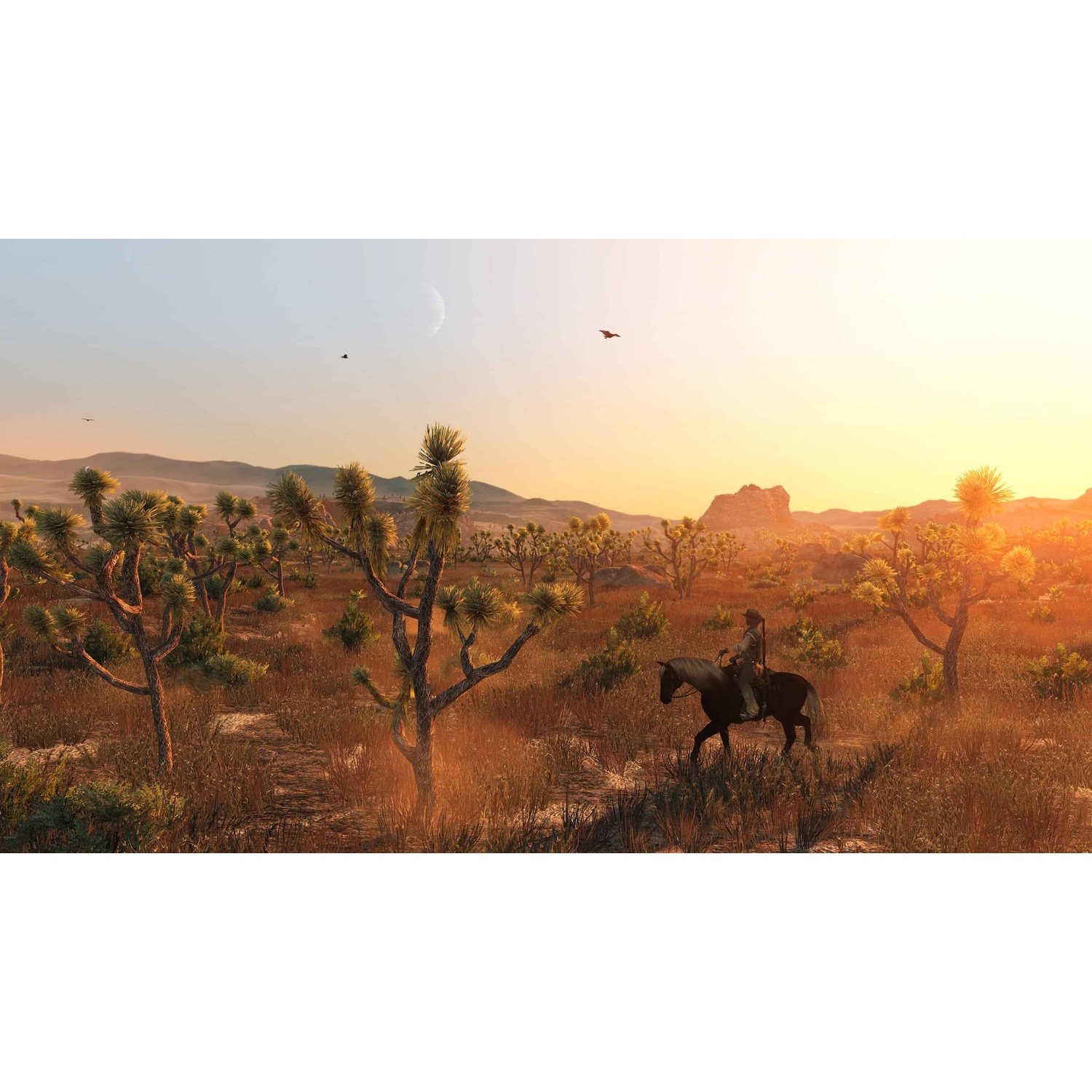 Un cavalier solitaire à cheval traverse un paysage désertique avec des arbres de Josué au coucher du soleil.