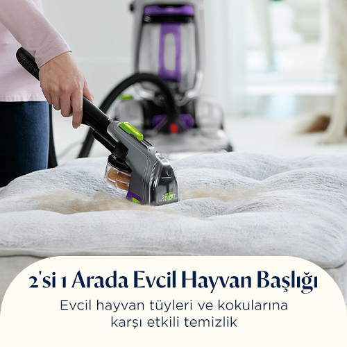 Bir temizlik cihazı, fırça başlığıyla açık gri halıyı ovuyor.