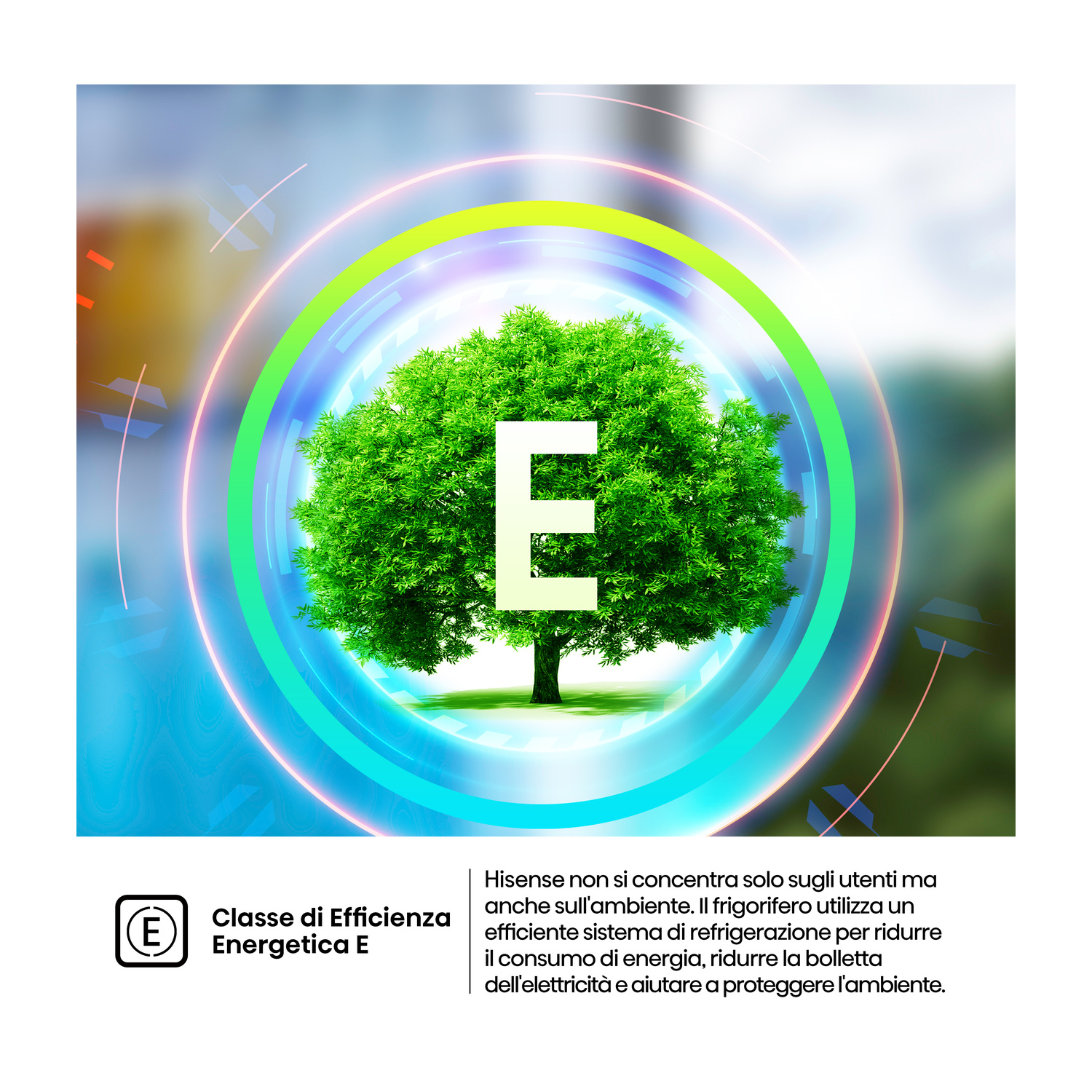 Albero verde con grande E al centro, circondato da anelli. Efficienza energetica.
