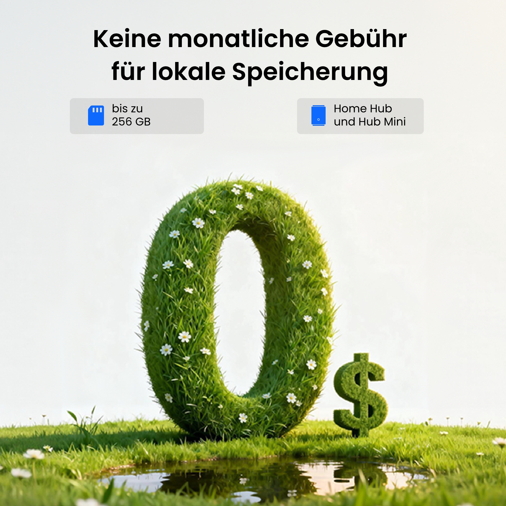 Eine Gras-Null und ein Dollarzeichen stehen auf einer grünen Wiese.