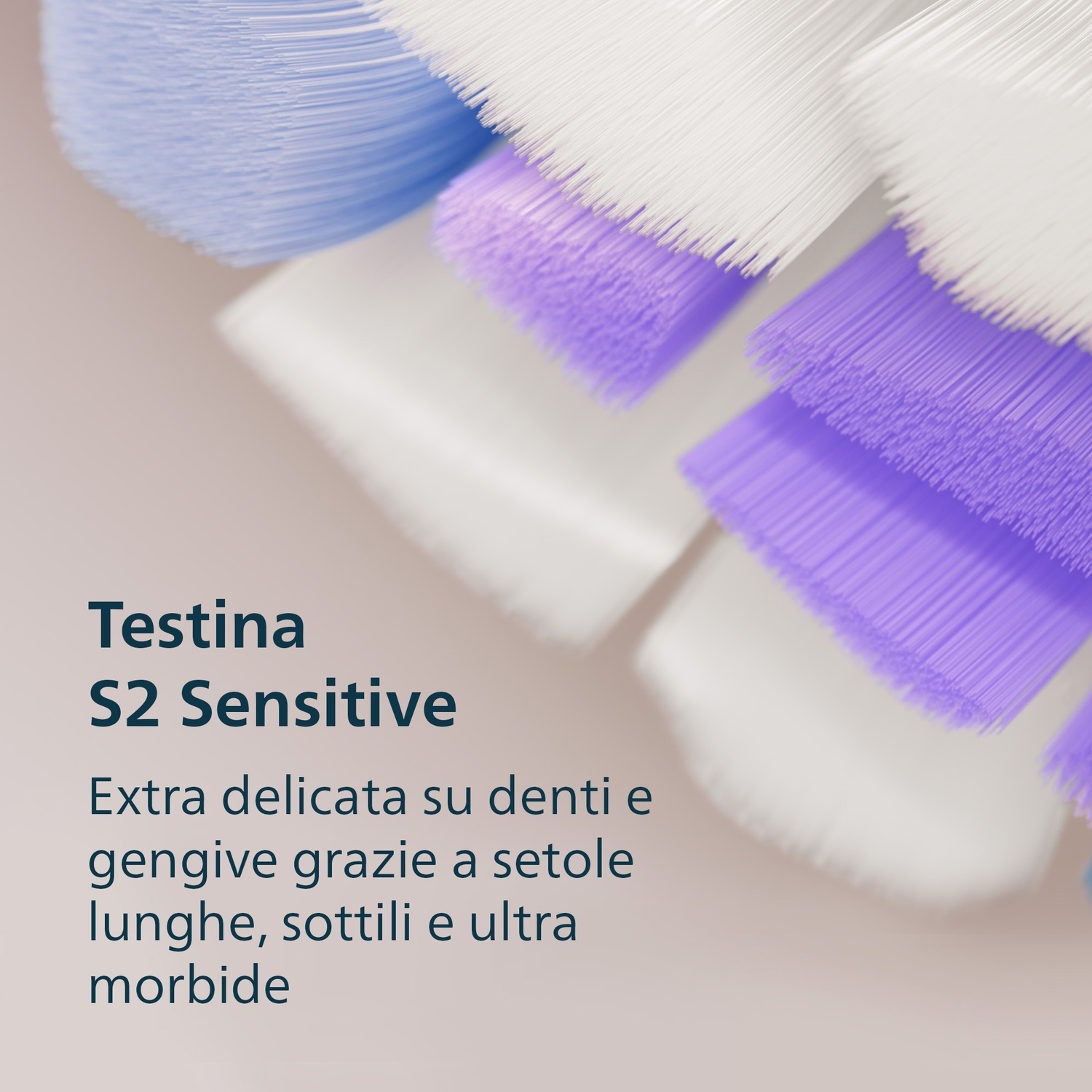 Primo piano di setole di spazzolino viola e bianche. Testo: Testina S2 Sensitive.