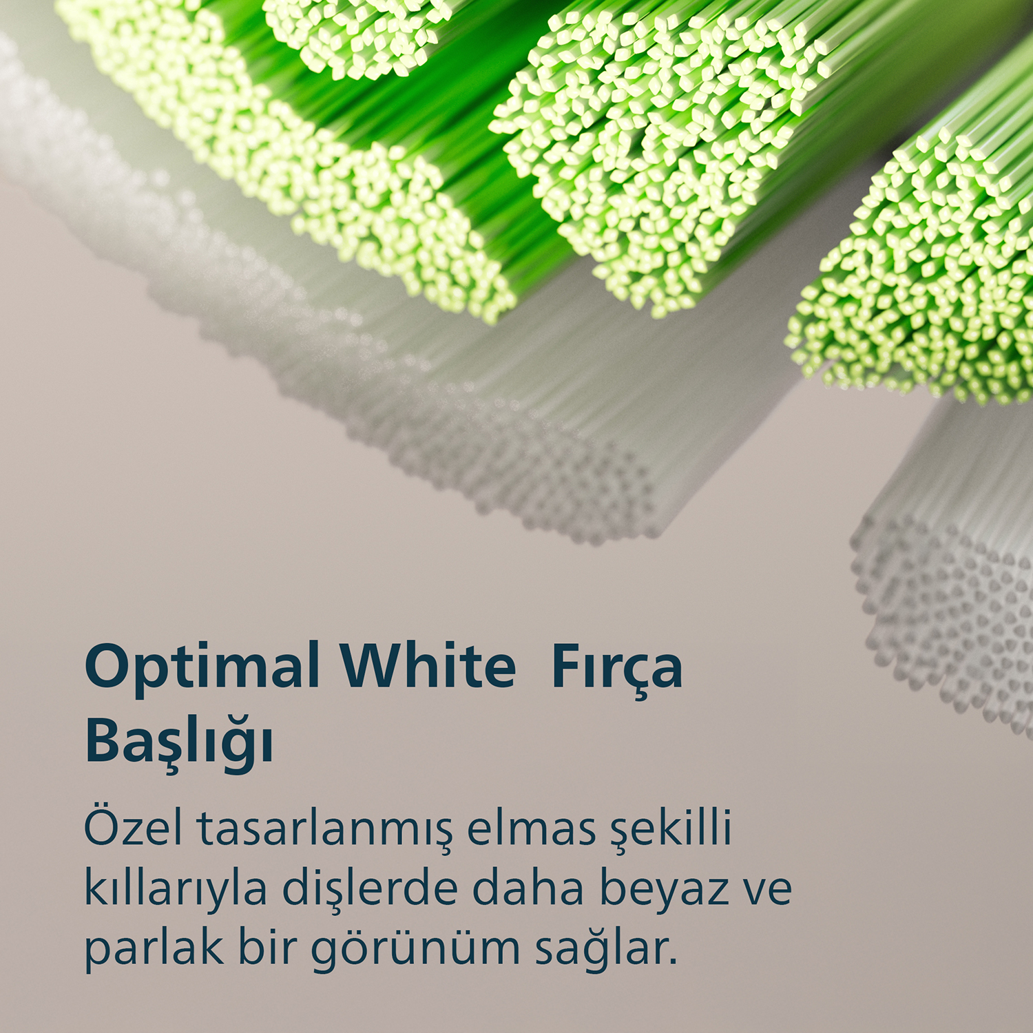 Yeşil ve beyaz diş fırçası kıllarının metinle yakın çekimi.