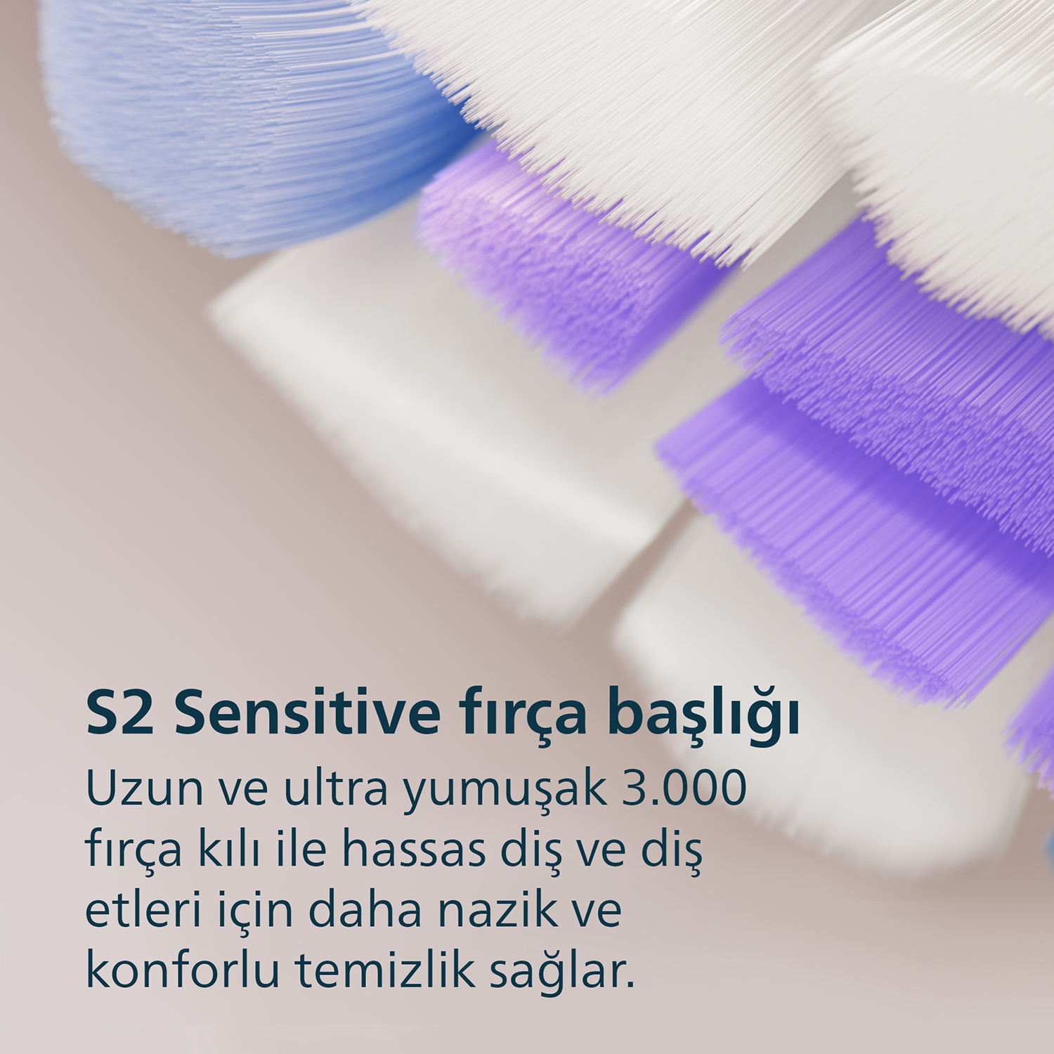 Mavi, mor ve beyaz kıllı diş fırçası başlıklarının yakın çekimi.