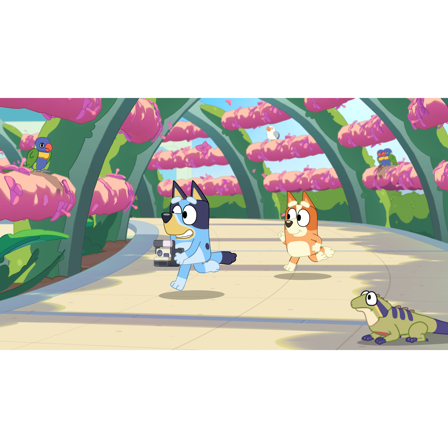 Twee honden en een hagedis rennen op een pad met roze planten en bomen.
