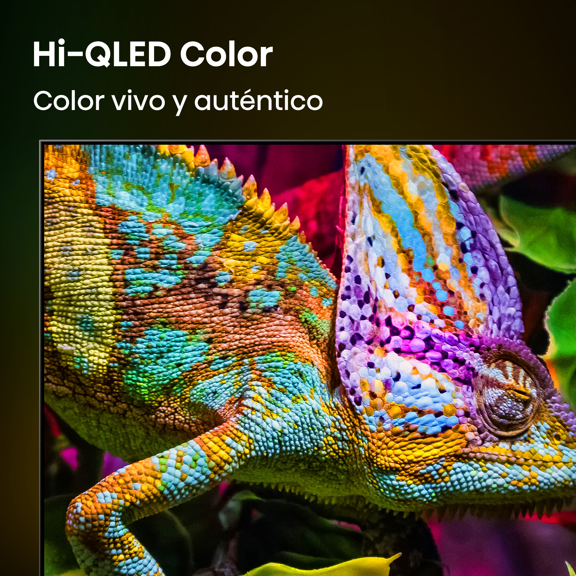 Un camaleón con vibrantes colores azul, amarillo y rojo sobre un fondo oscuro.