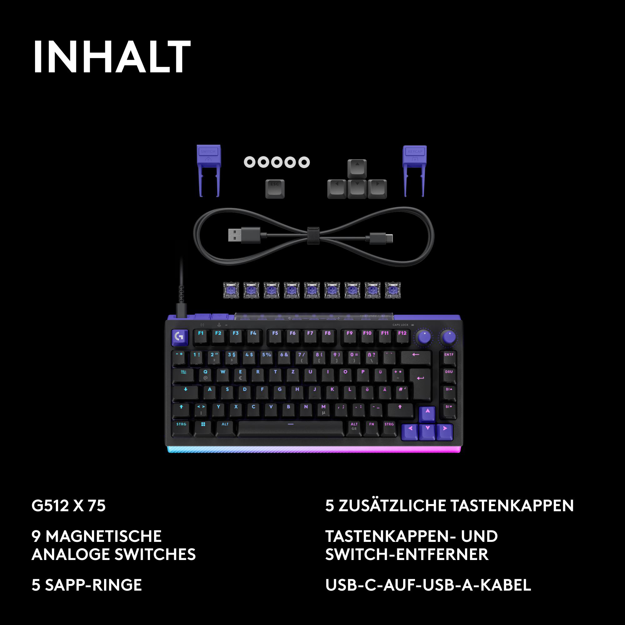 Tastaturzubehör: Kabel, Kappen, Schalter, Werkzeuge. Inhalt.