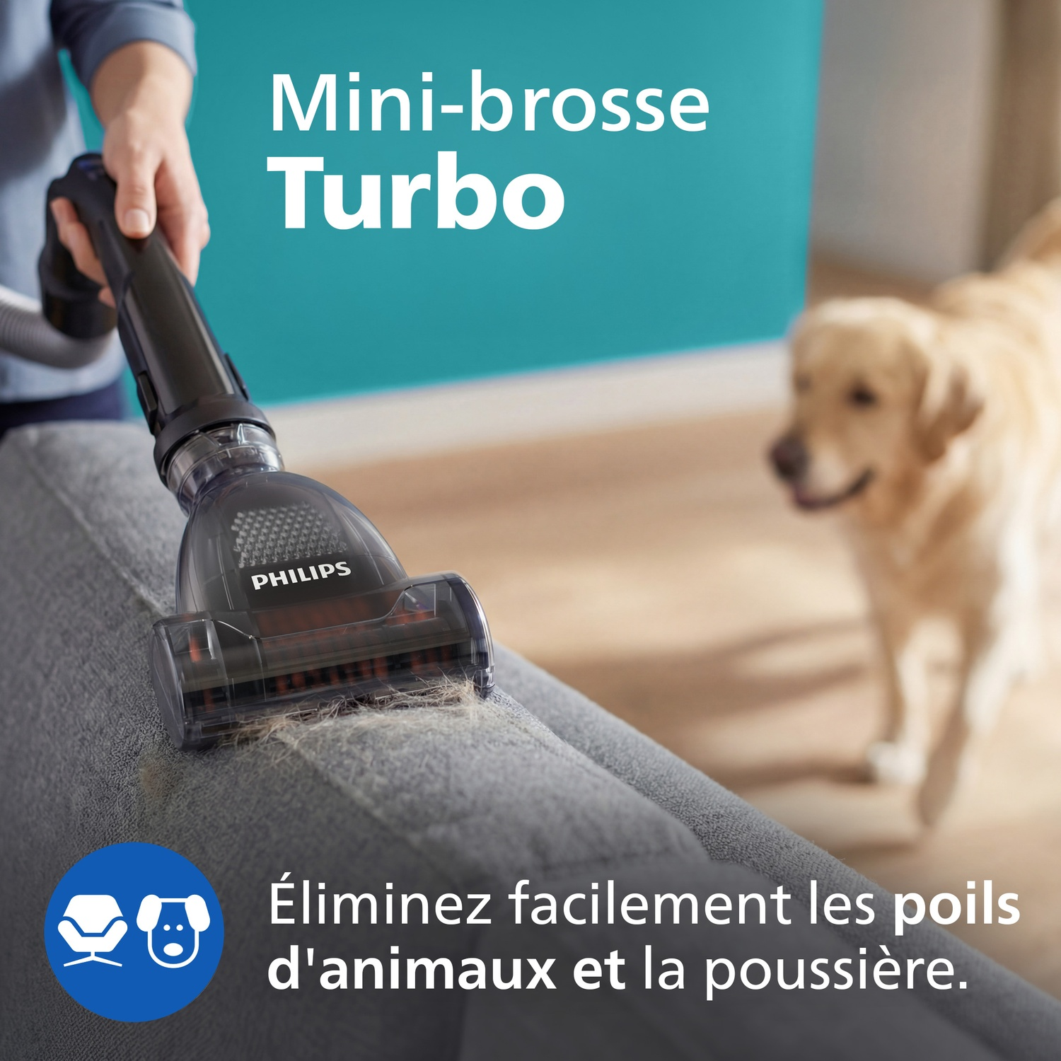 Un mini-brosse Turbo Philips nettoie le tissu des poils d'animaux. Un chien en arrière-plan.