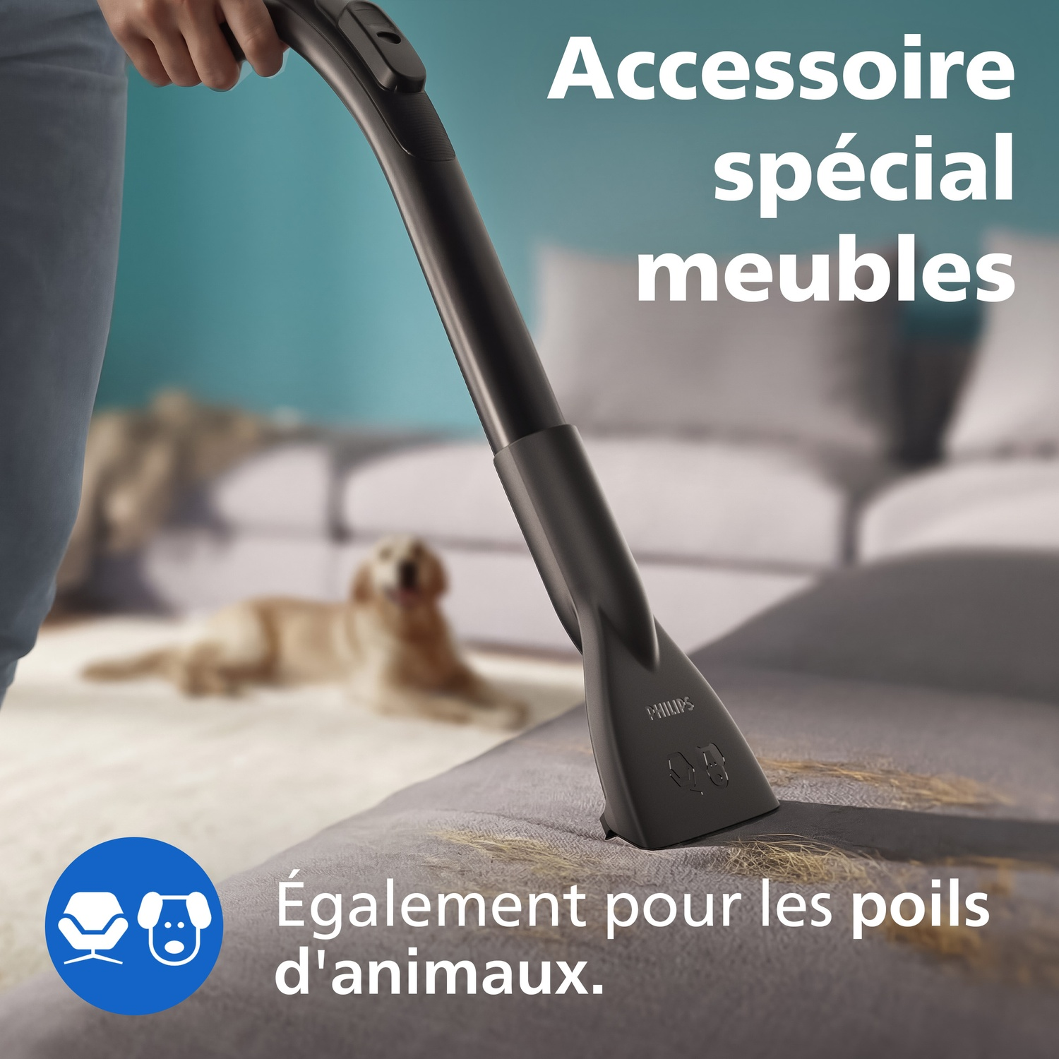 Accessoire aspirateur nettoyant canapé. Chien en arrière-plan. Texte: Accessoire meubles.