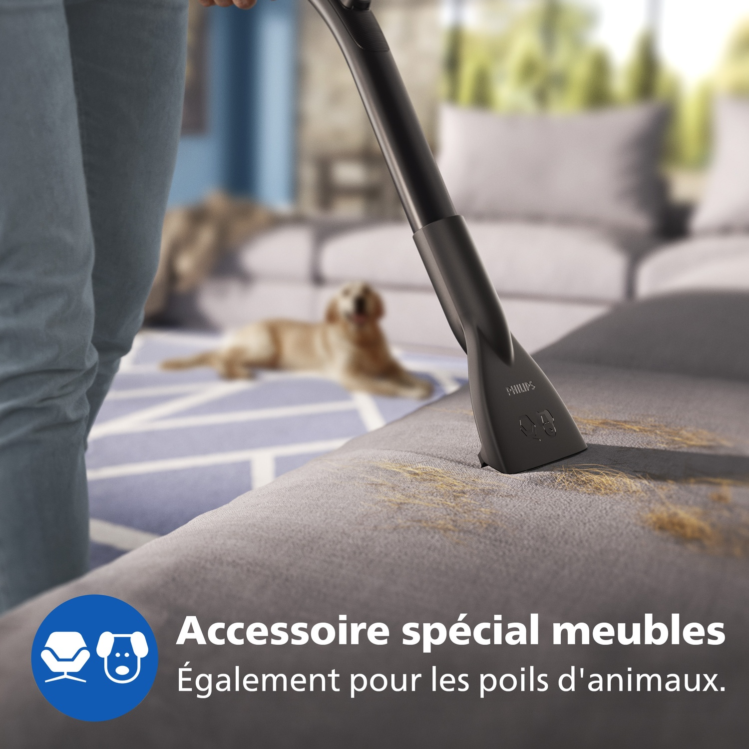 Vacuum attachment cleans sofa of pet hair; dog in background.